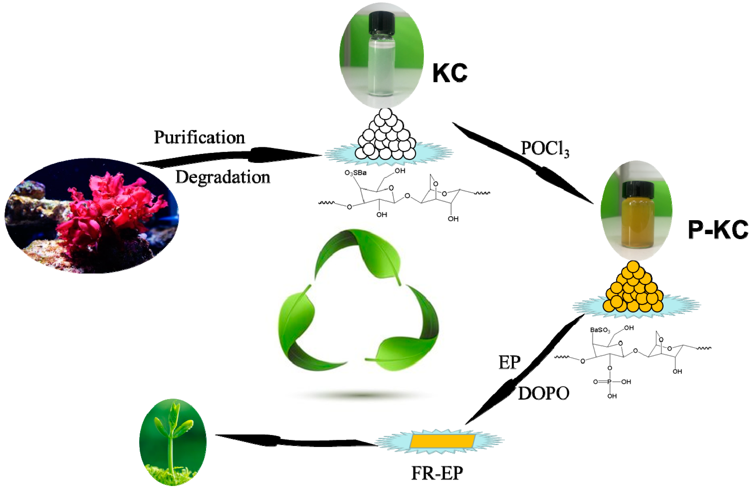 Polymers 10 01268 g001