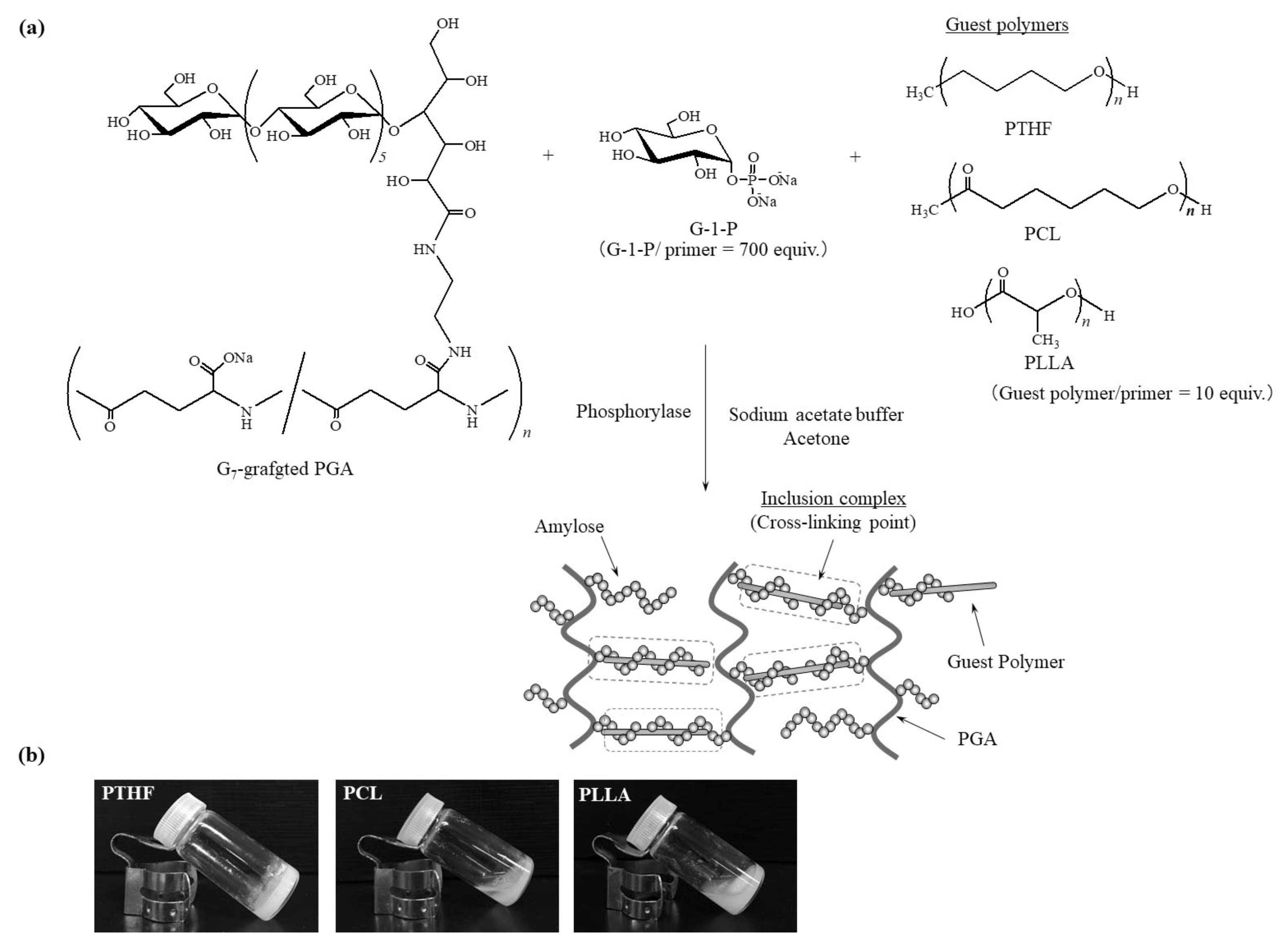 Polymers 10 01277 g001