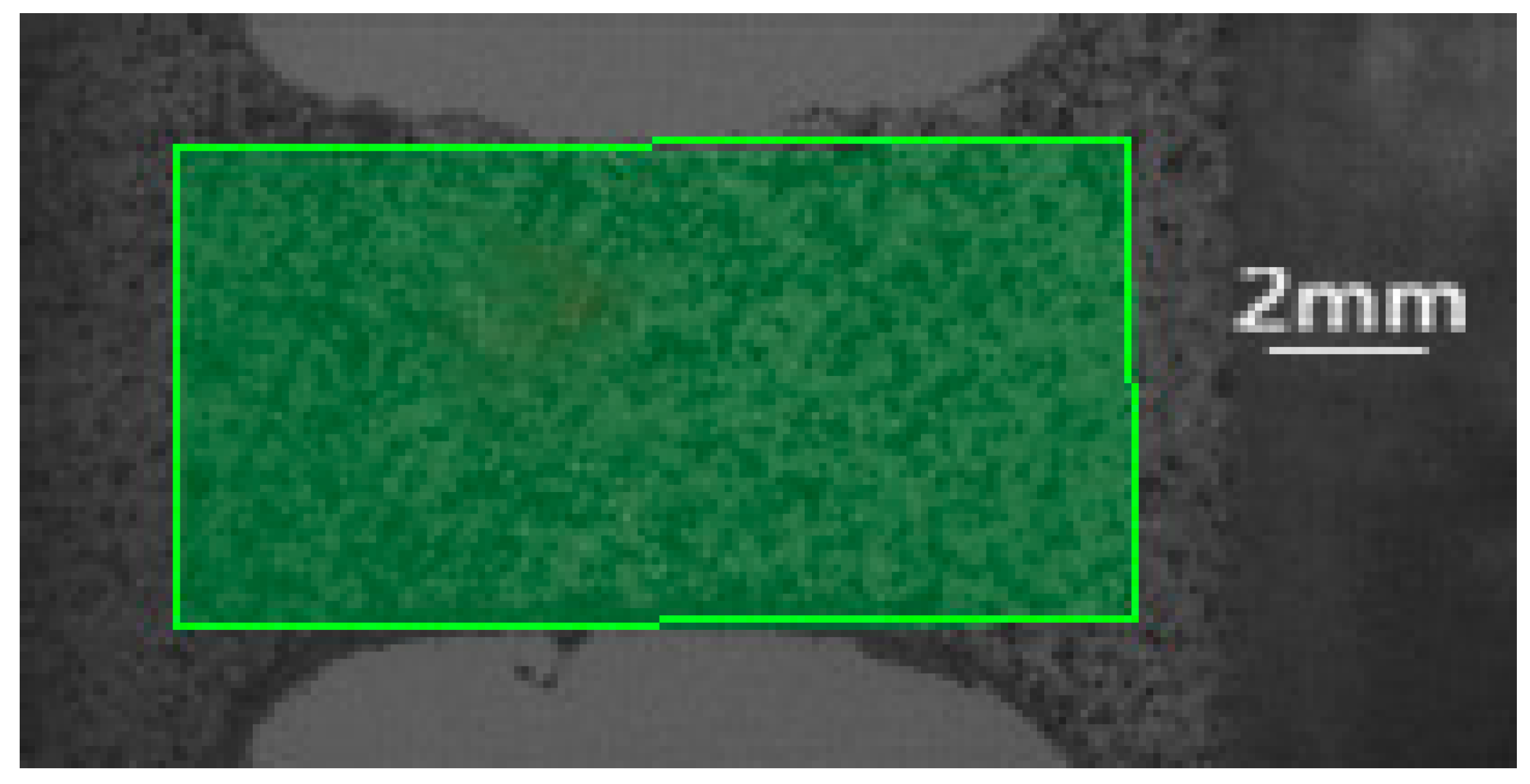 Polymers 10 01279 g008 Polymers 10 01279 g008