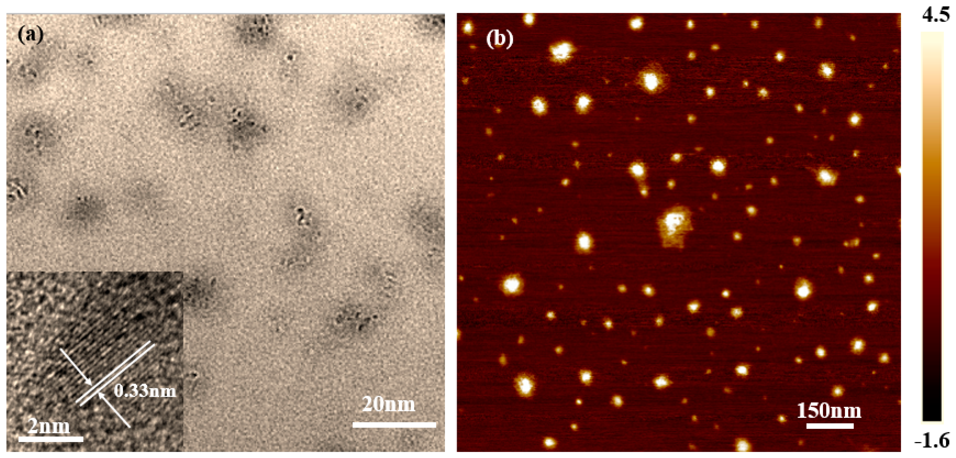 Polymers 10 01282 g001 Polymers 10 01282 g001