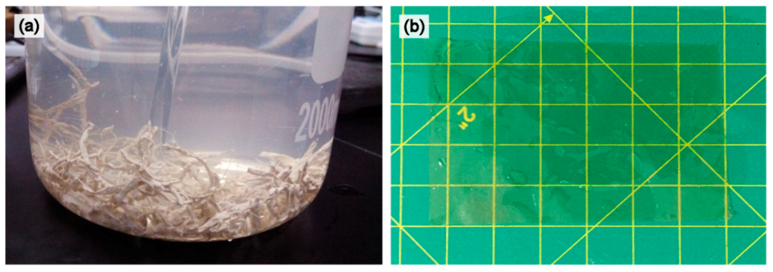 Polymers 10 01287 g001