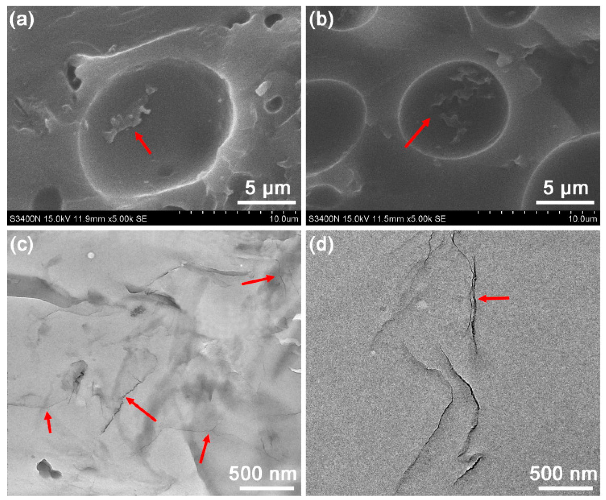 Polymers 10 01288 g005