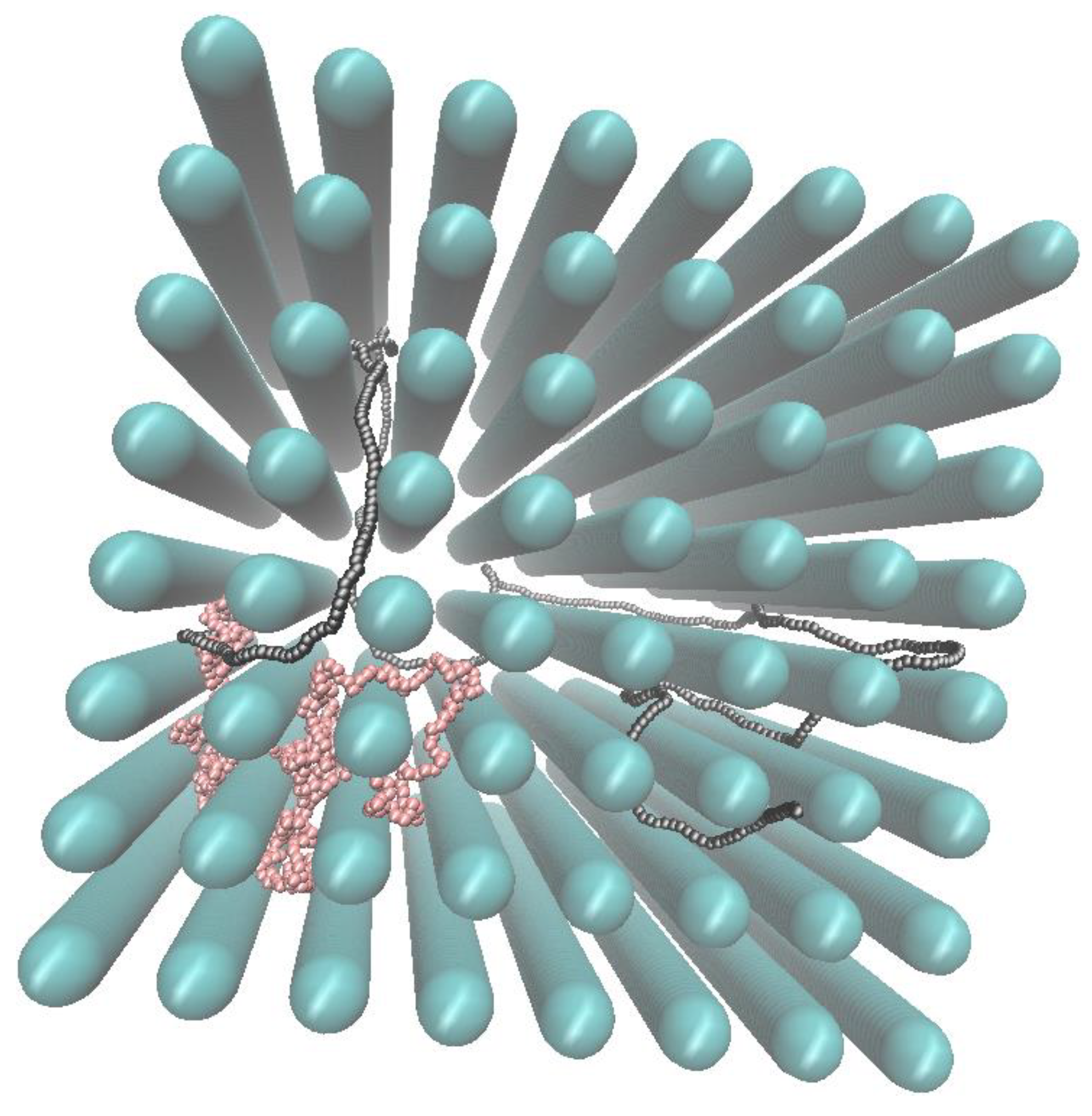 Polymers 10 01301 g002