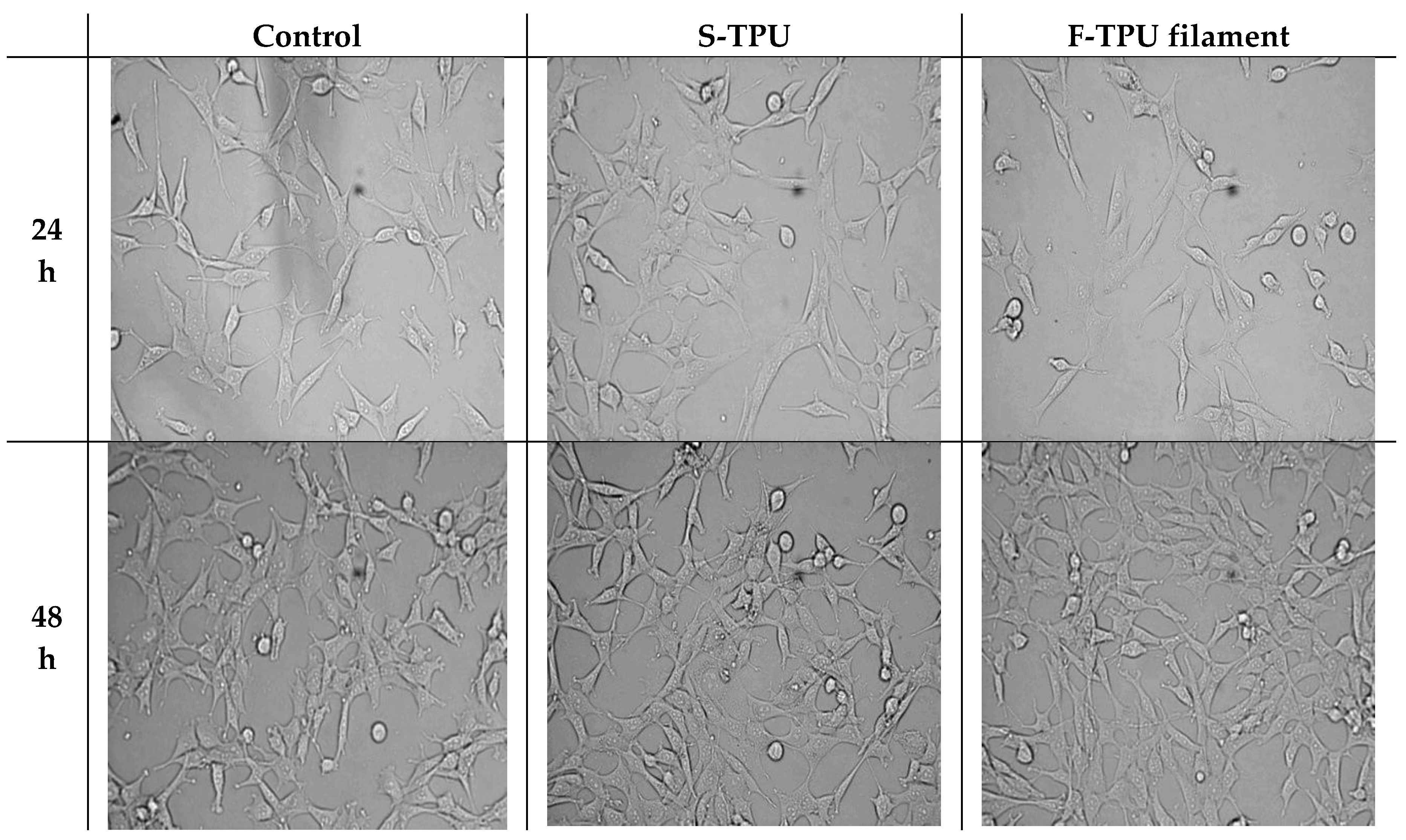 Polymers 10 01304 g008a Polymers 10 01304 g008a