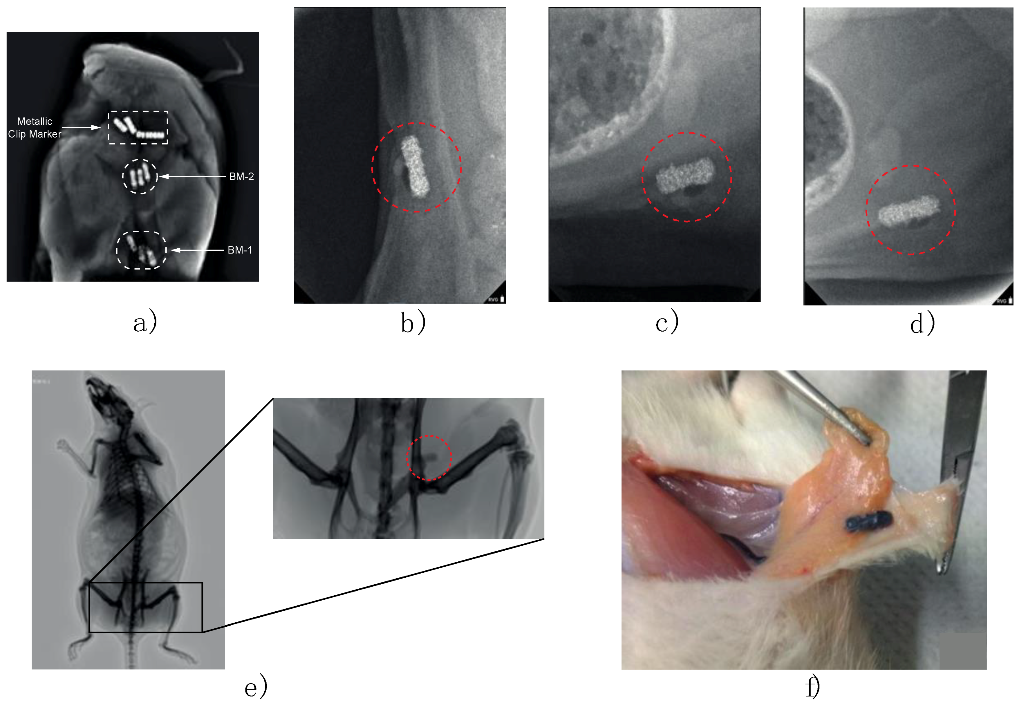 Polymers 10 01307 g009