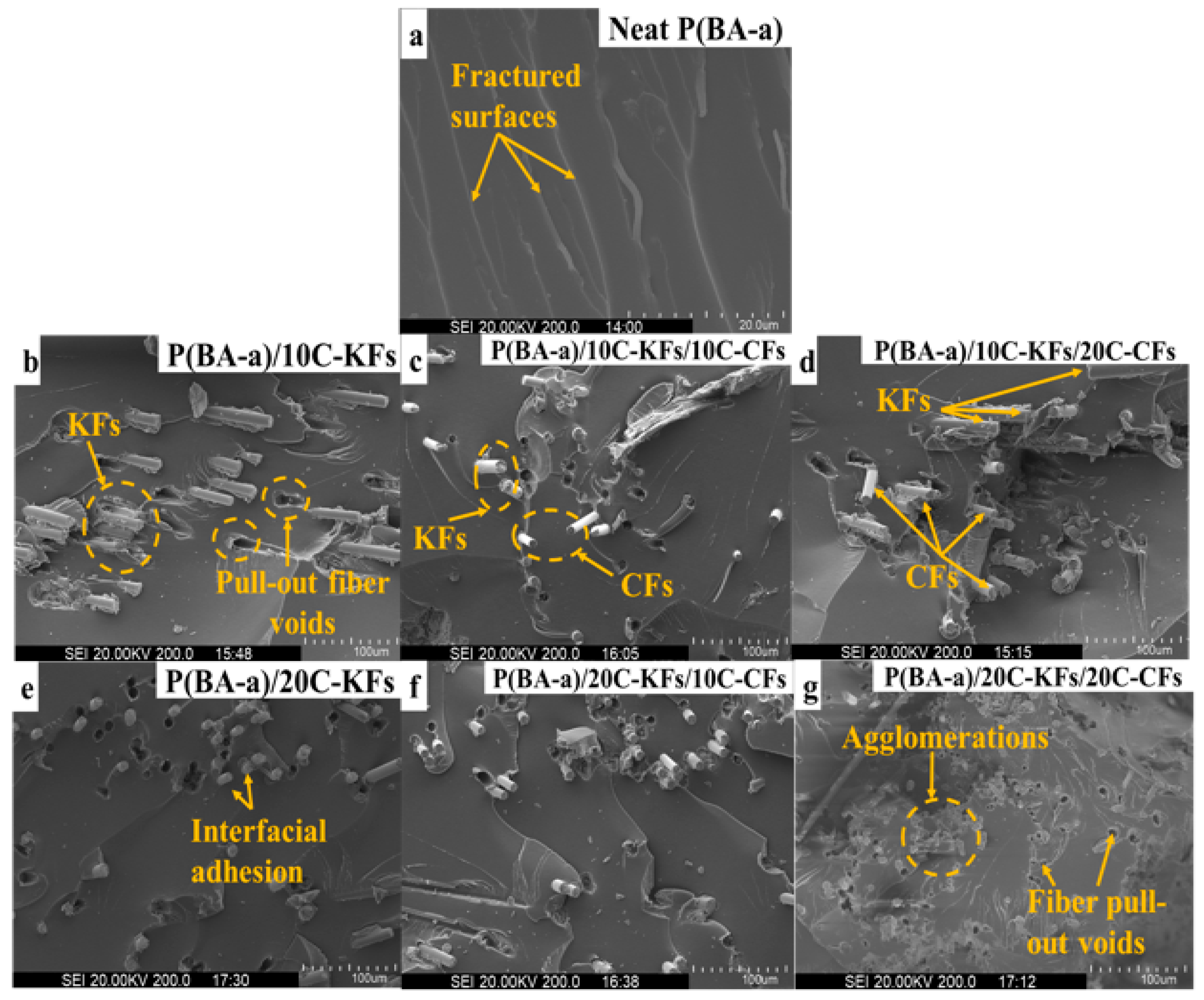 Polymers 10 01308 g009 550