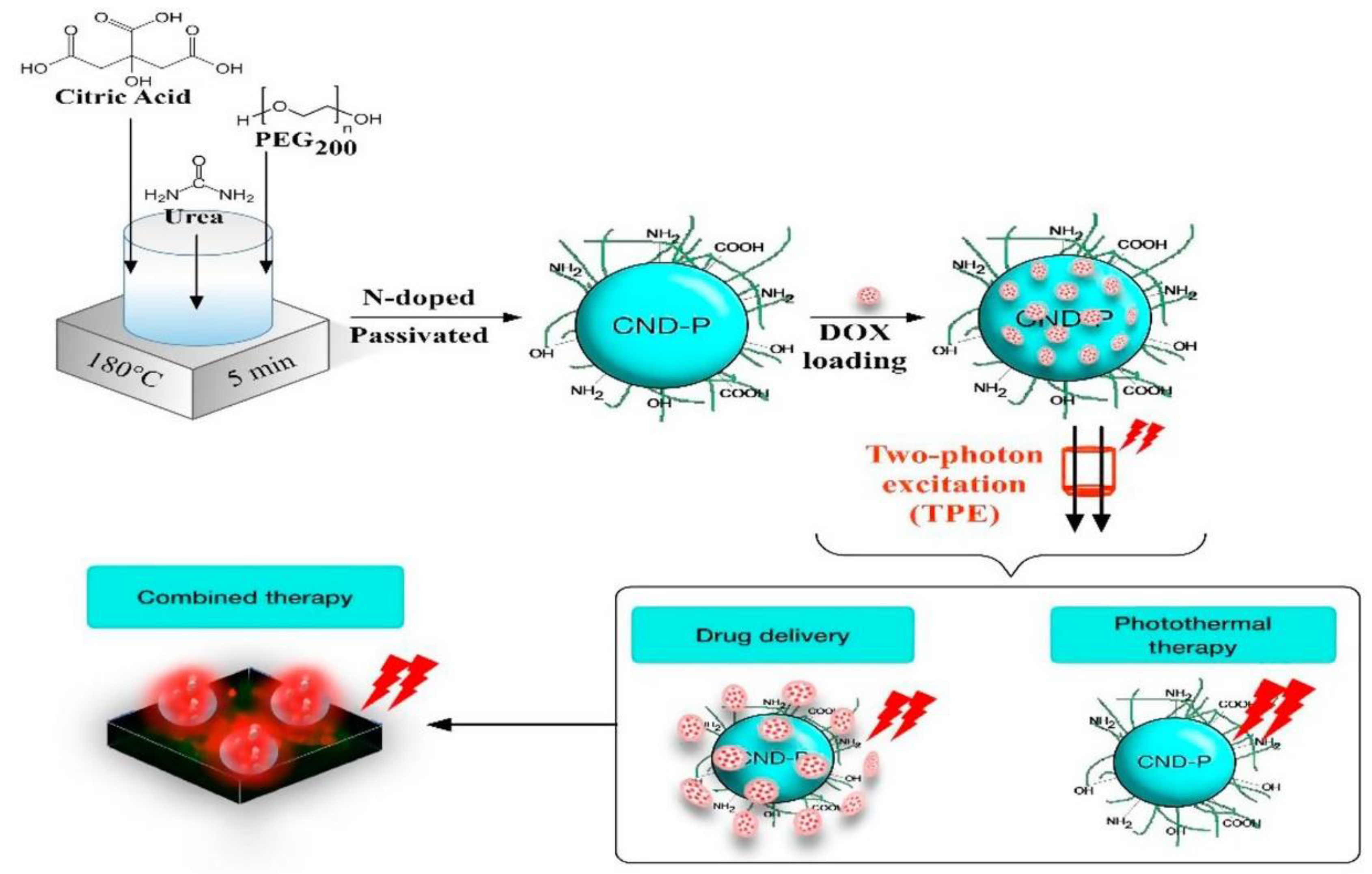 Polymers 10 01312 g002 Polymers 10 01312 g002