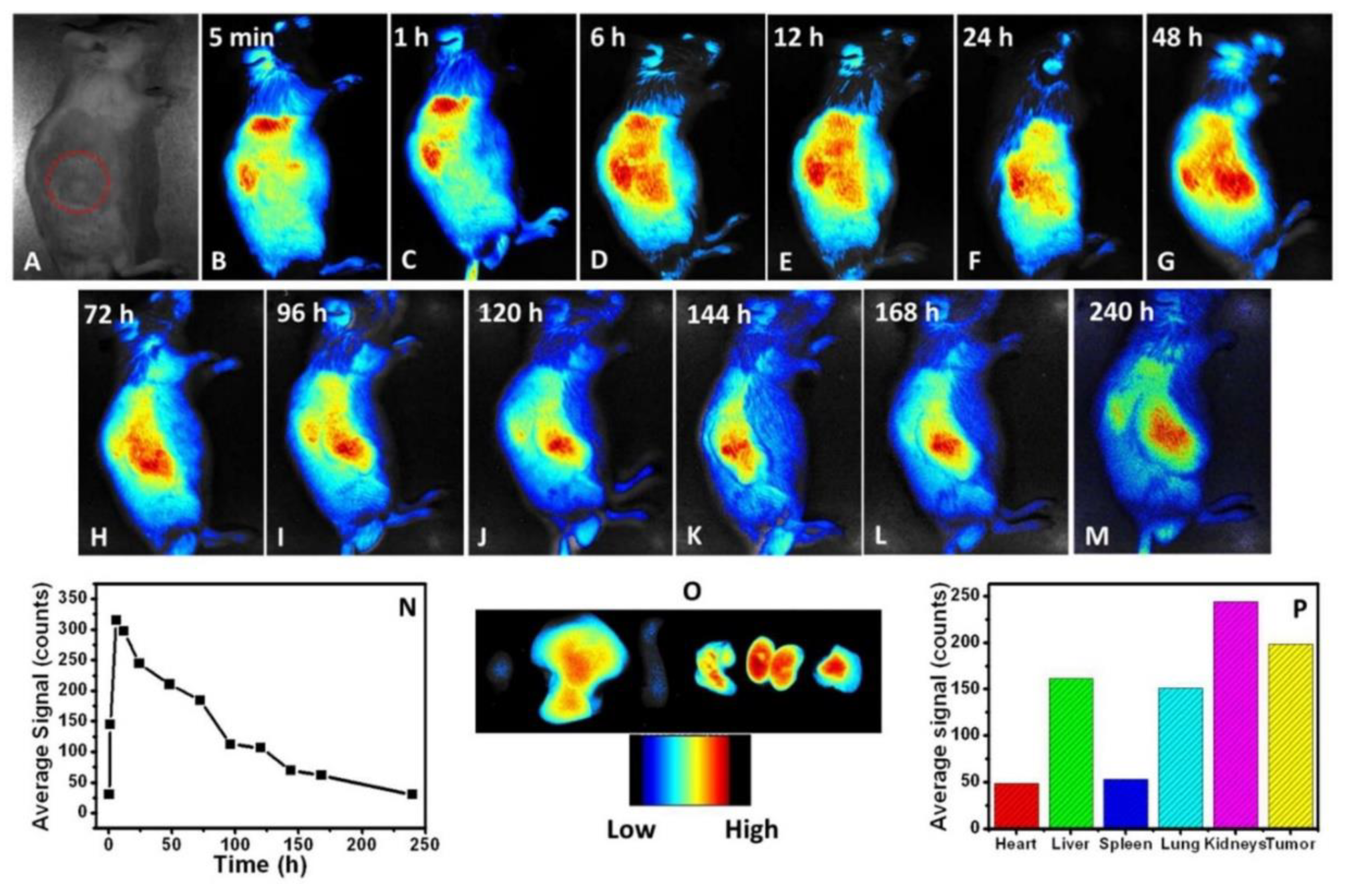 Polymers 10 01312 g007 Polymers 10 01312 g007