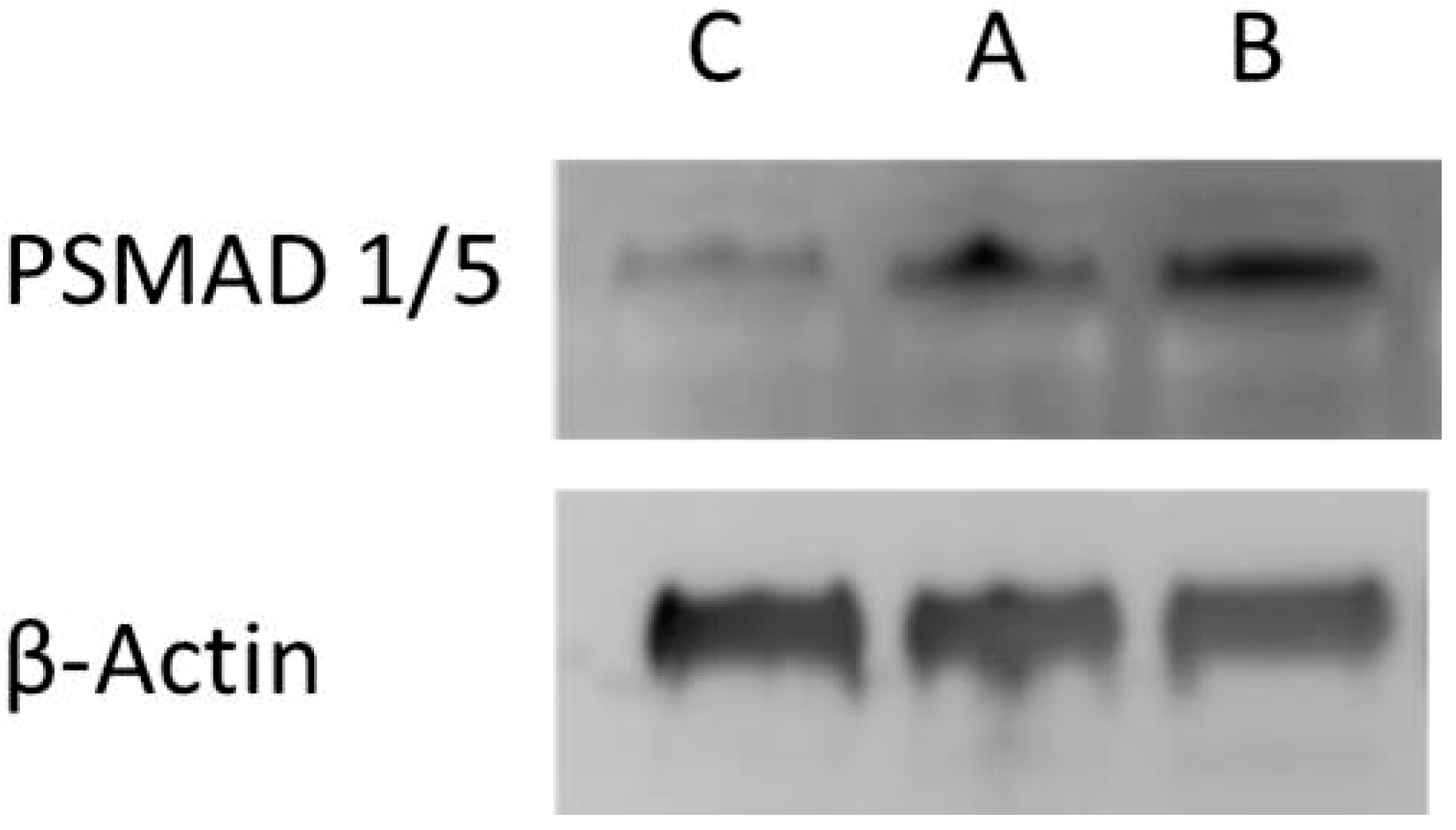 Polymers 10 01314 g008