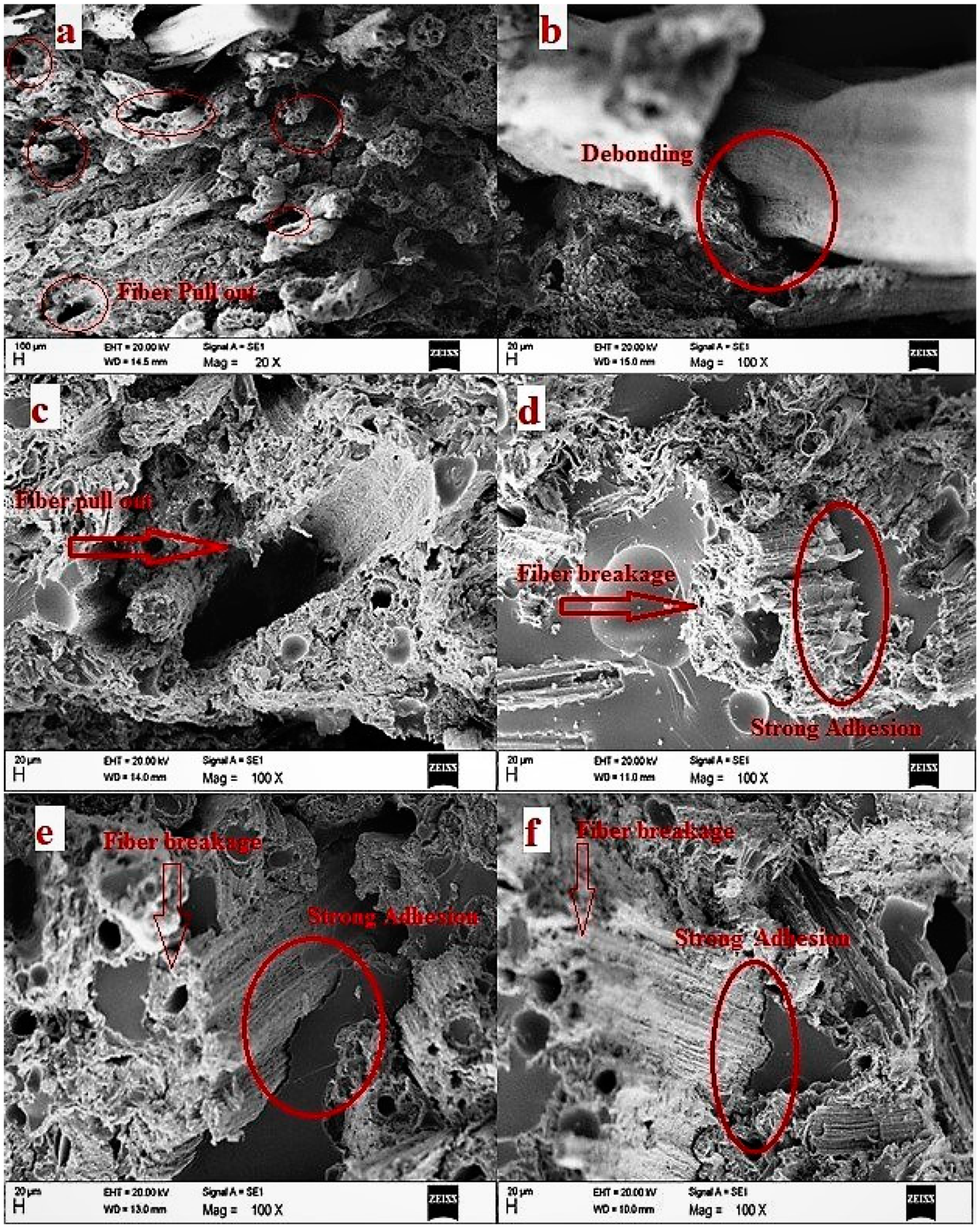 Polymers 10 01316 g006 Polymers 10 01316 g006