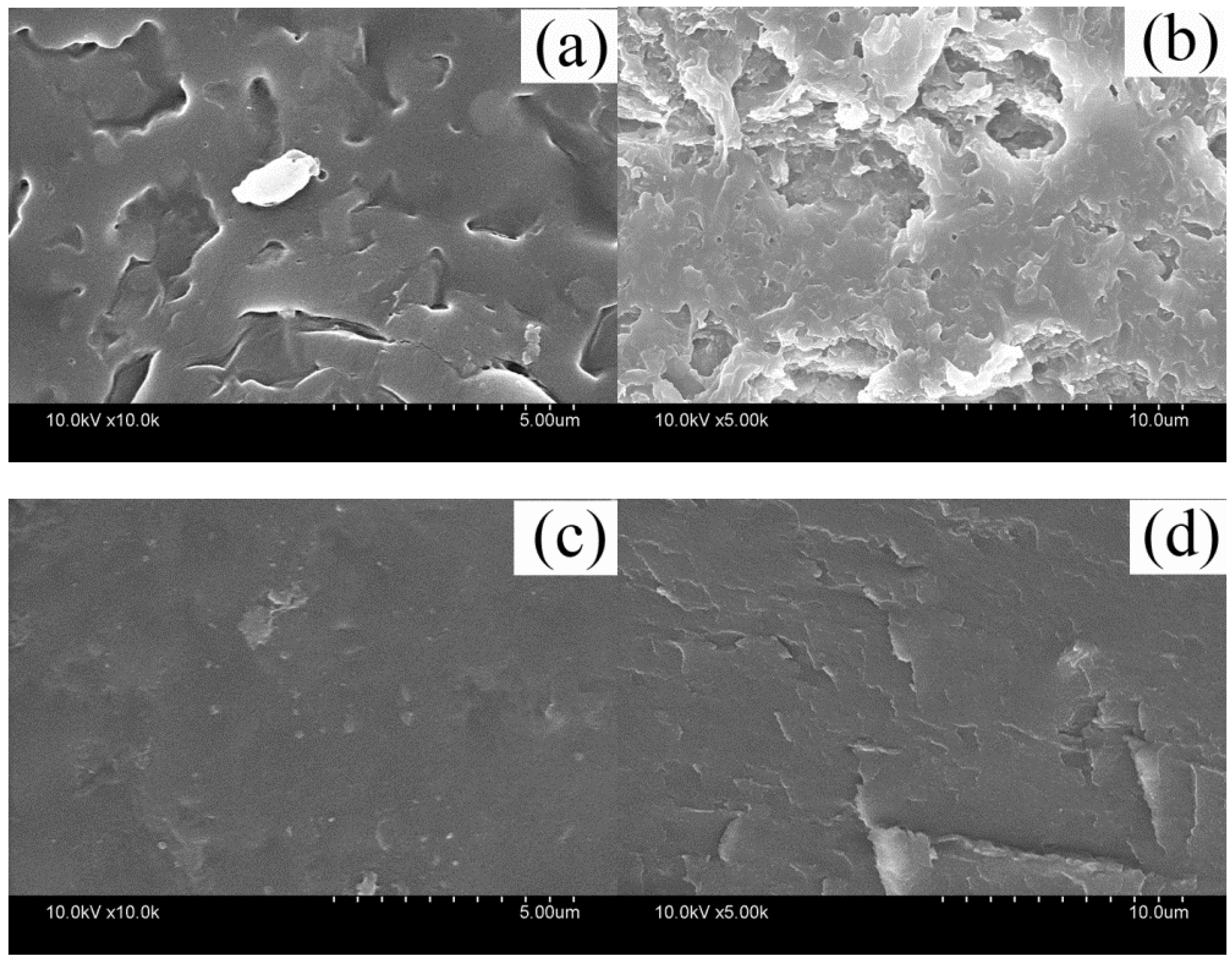 Polymers 10 01318 g002 Polymers 10 01318 g002