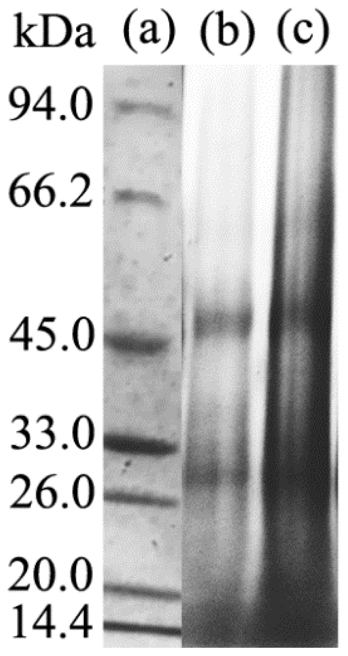 Polymers 10 01318 g003 Polymers 10 01318 g003