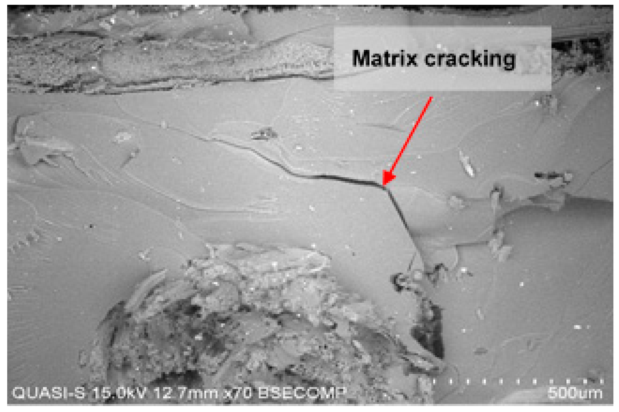 Polymers 10 01320 g010