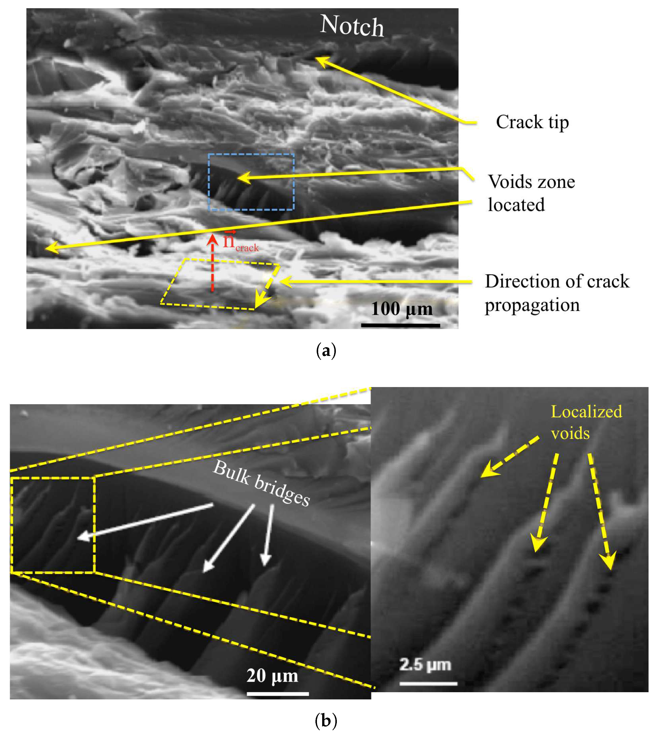 Polymers 10 01321 g008 Polymers 10 01321 g008