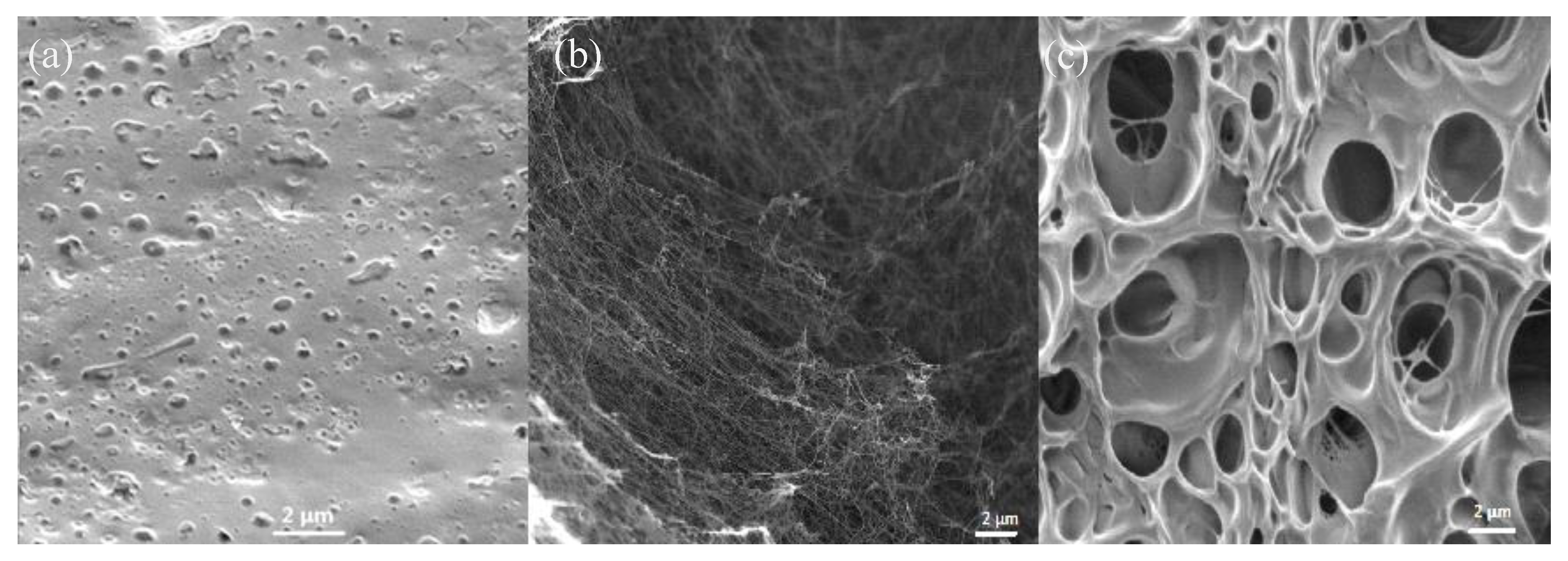 Polymers 10 01323 g001