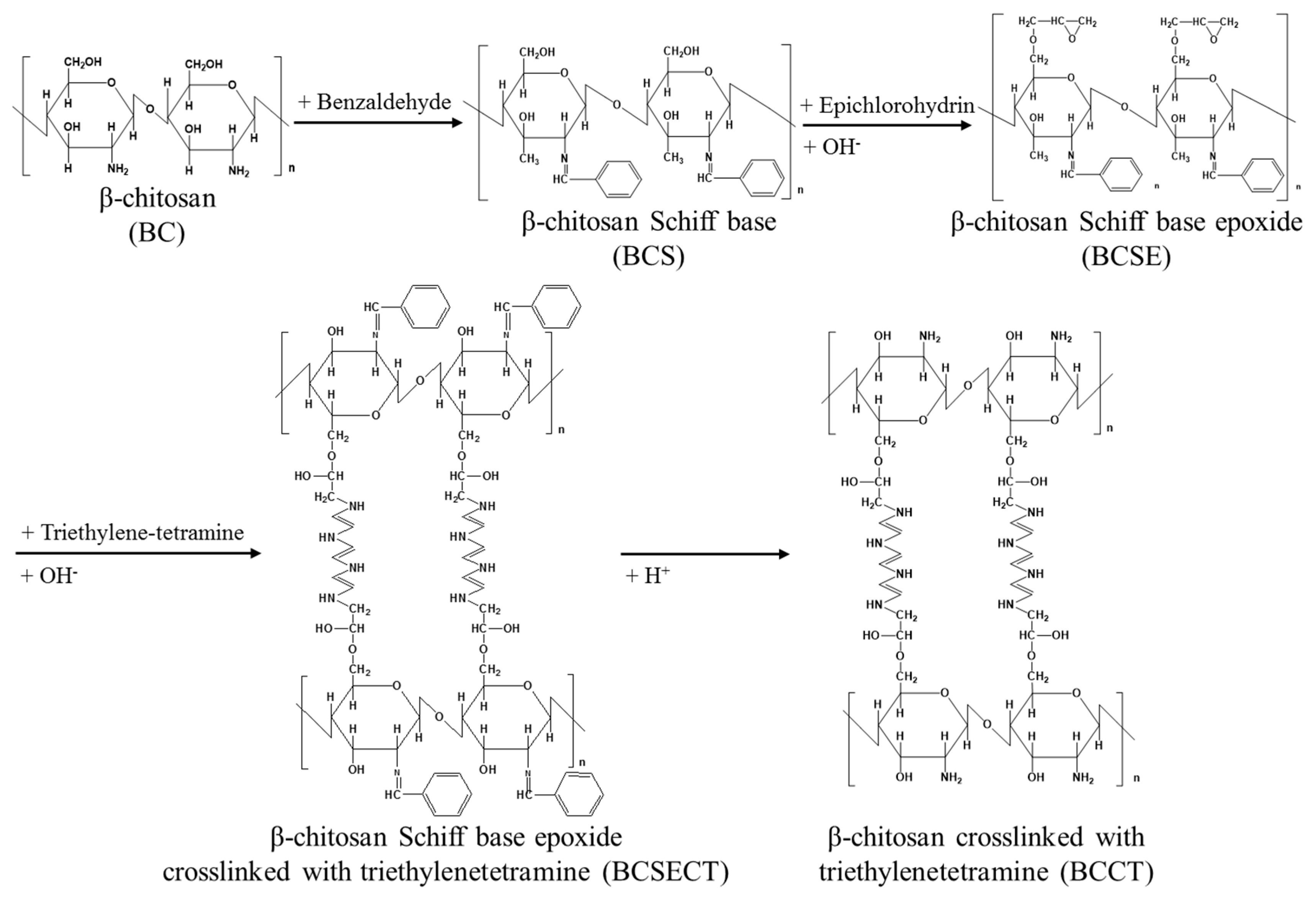 Polymers 10 01328 g002