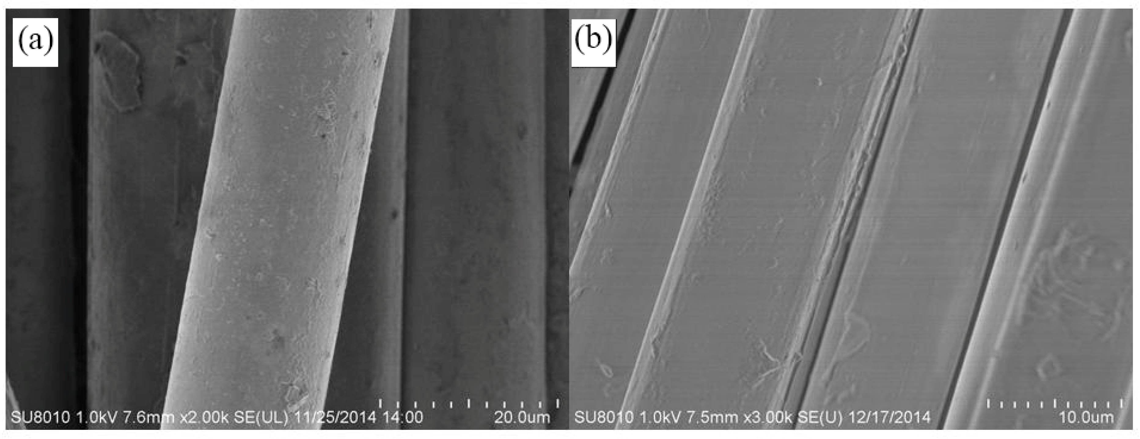 Polymers 10 01330 g001