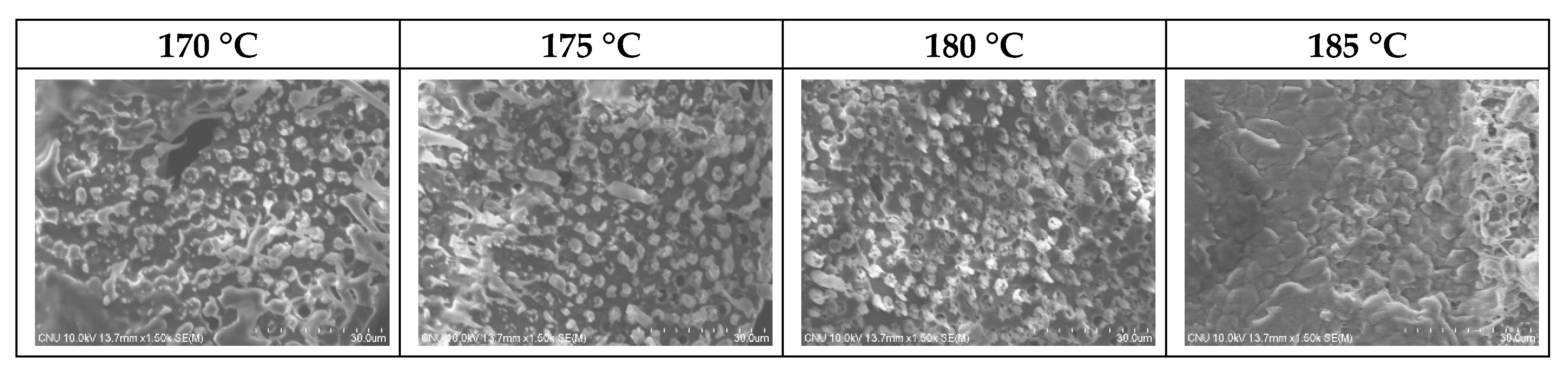 Polymers 10 01333 g005