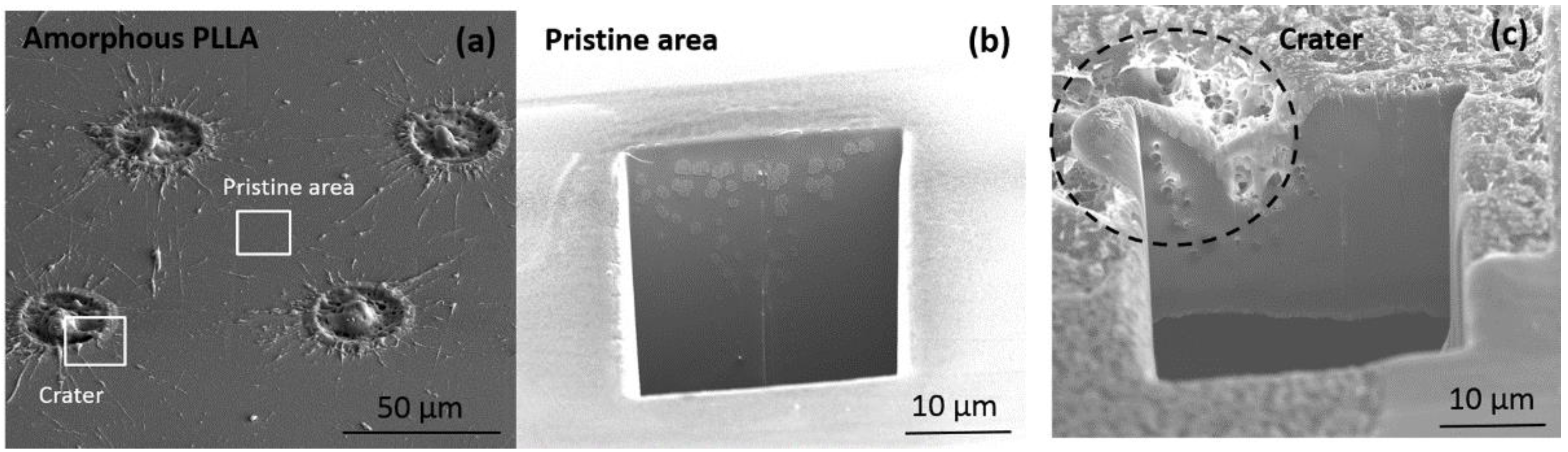 Polymers 10 01337 g004 Polymers 10 01337 g004