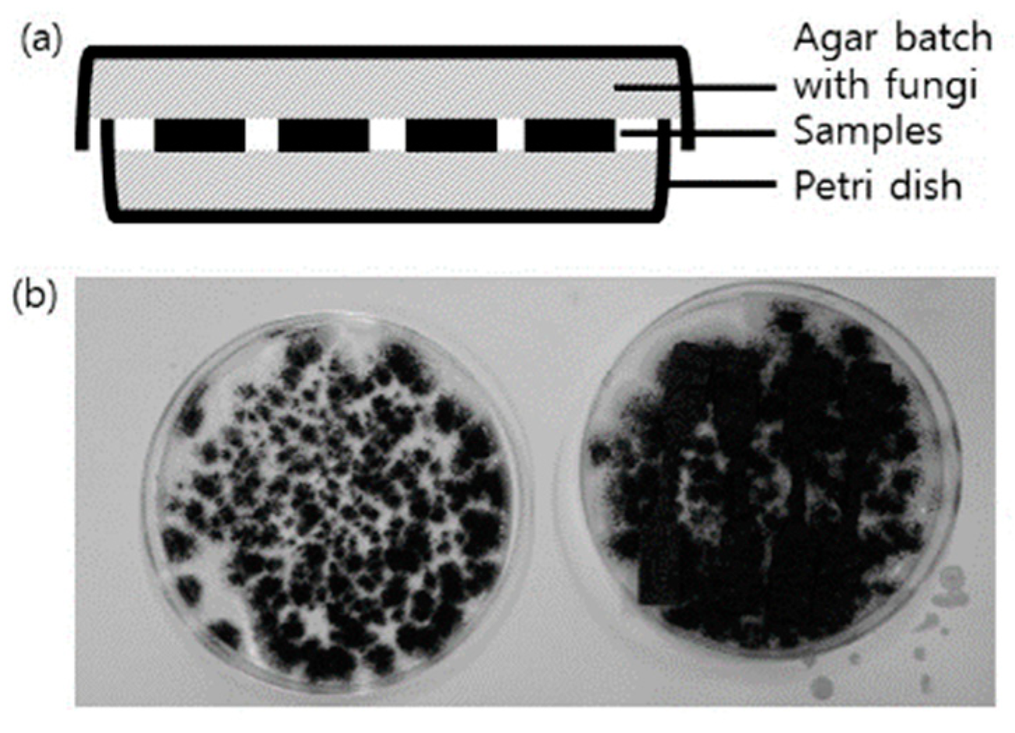 Polymers 10 01338 g001 Polymers 10 01338 g001