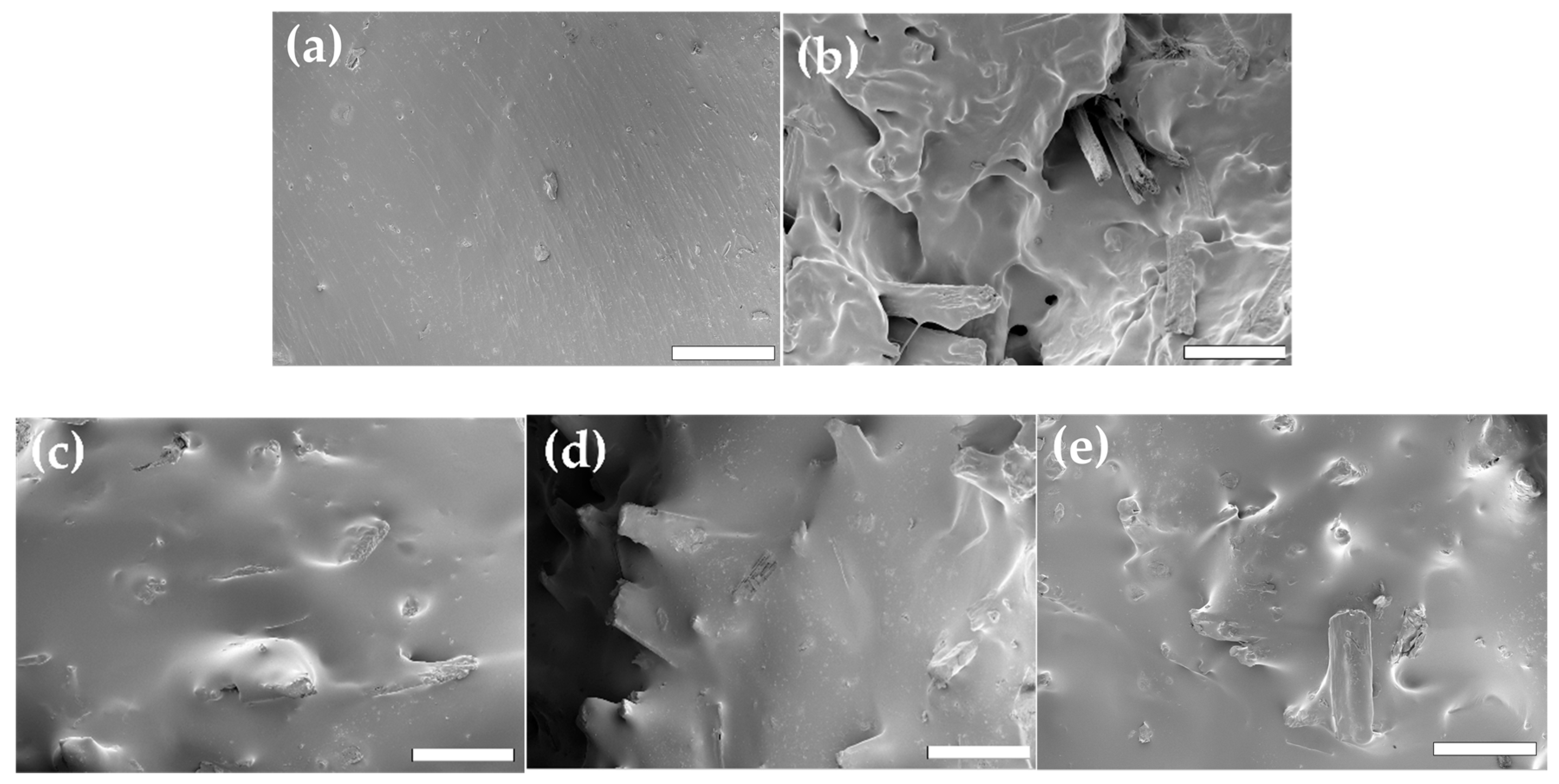 Polymers 10 01338 g003 Polymers 10 01338 g003