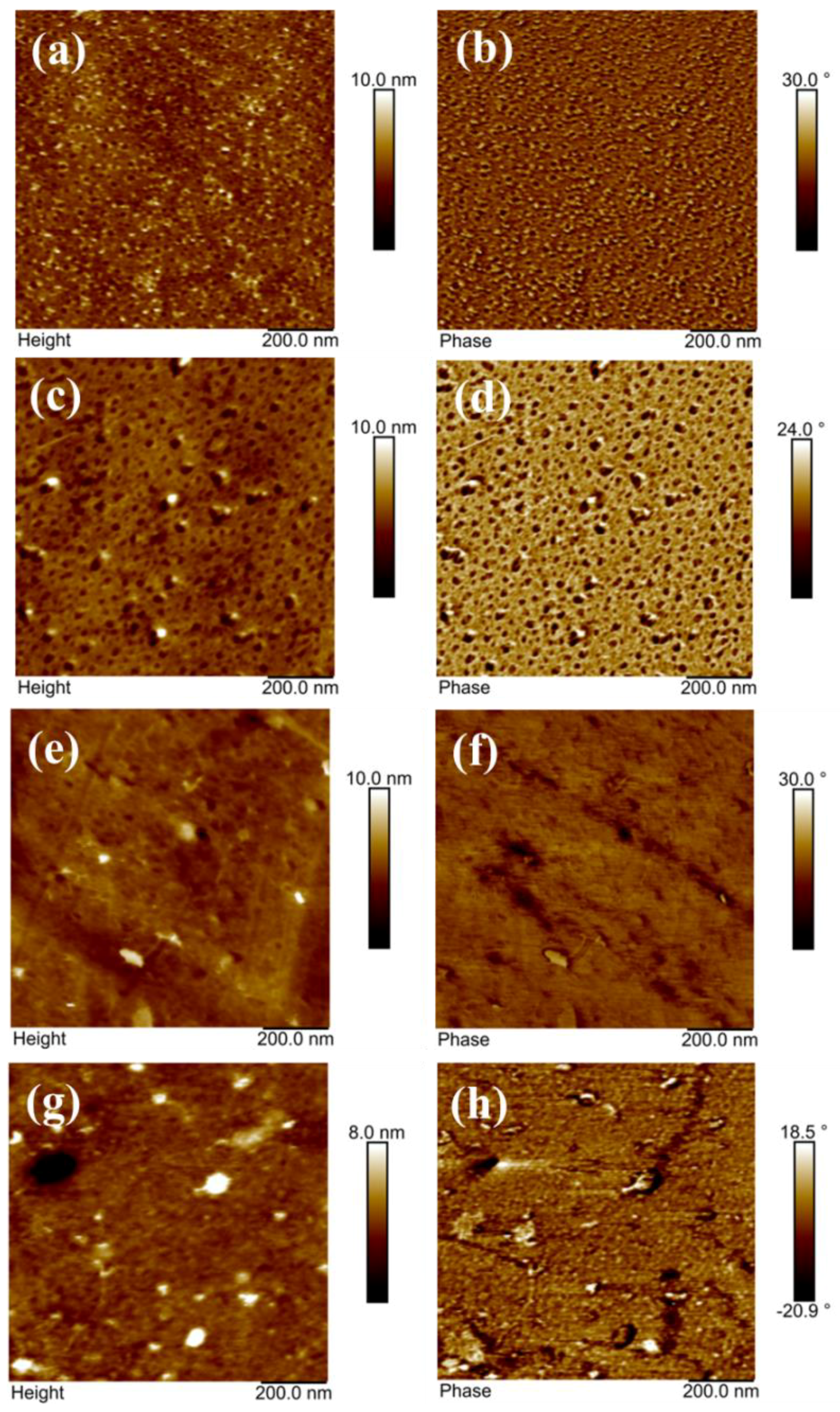 Polymers 10 01346 g005 Polymers 10 01346 g005