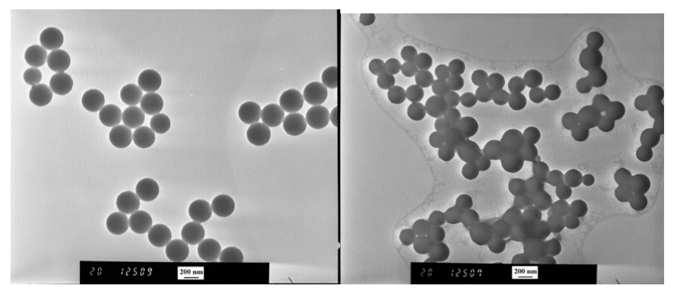 Polymers 10 01352 g006