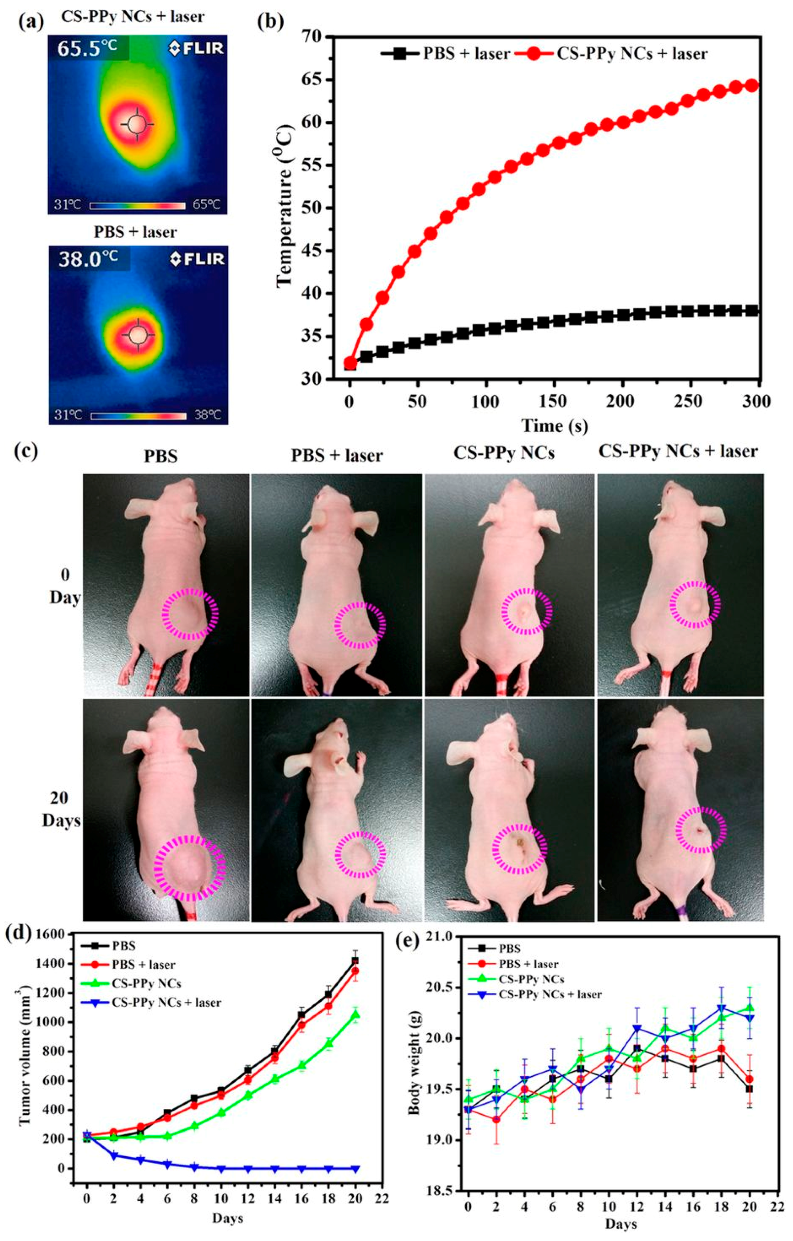 Polymers 10 01357 g002