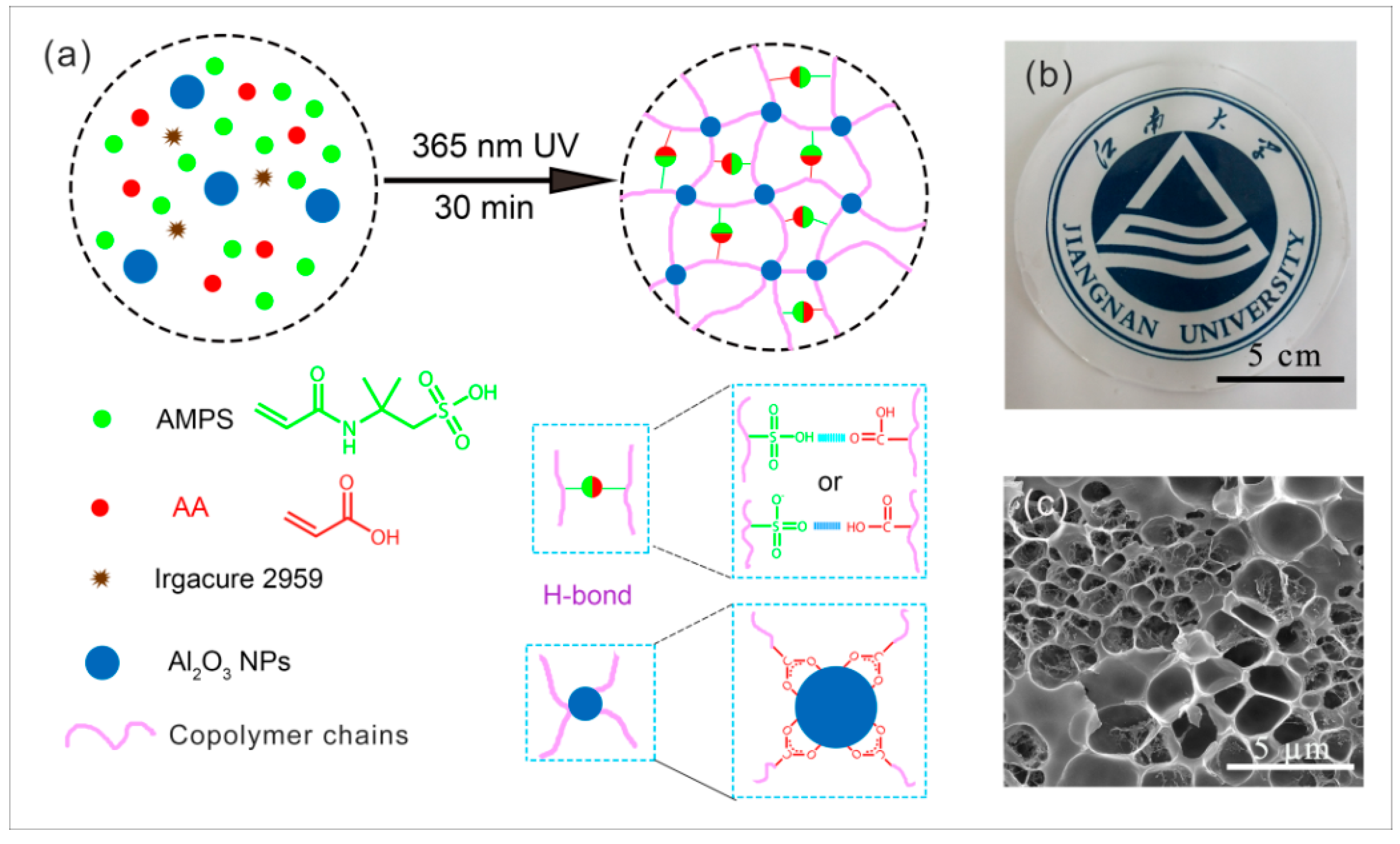 Polymers 10 01362 g001