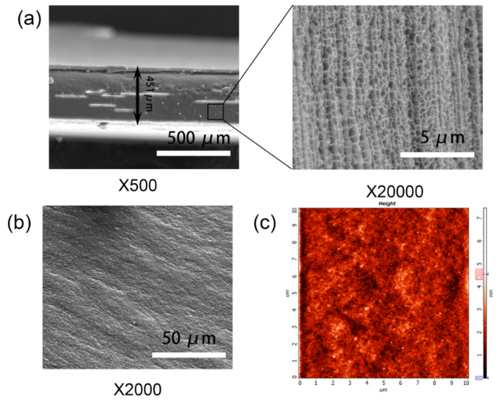 Polymers 10 01362 g008