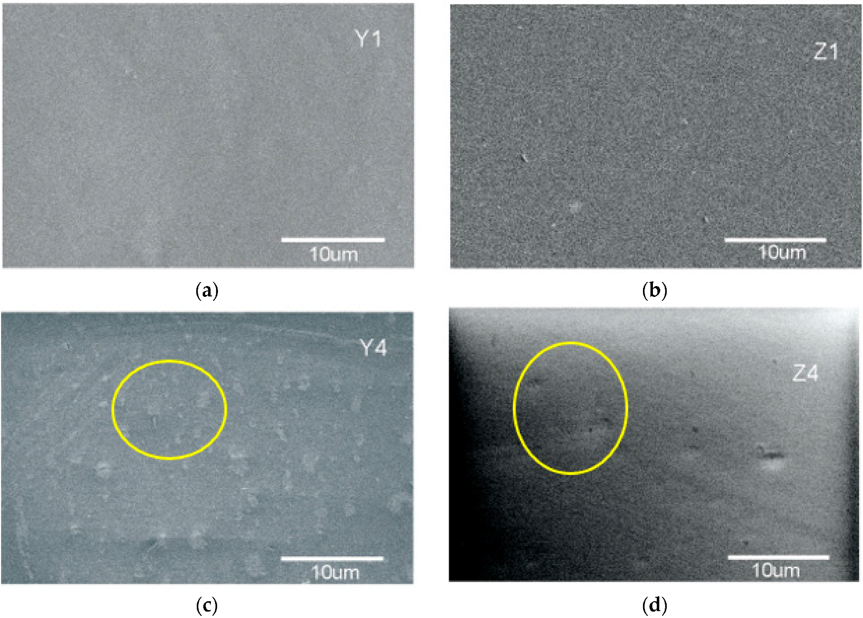 Polymers 10 01370 g007 550