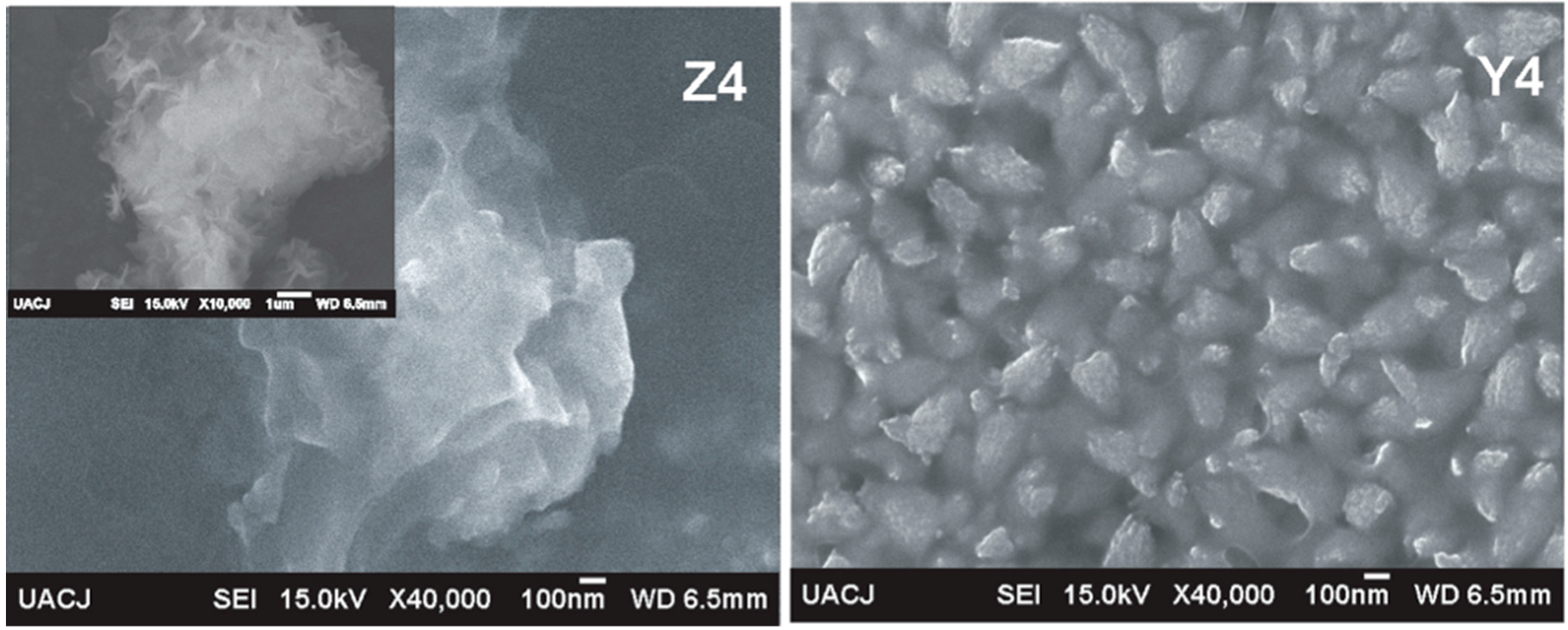 Polymers 10 01370 g008b 550