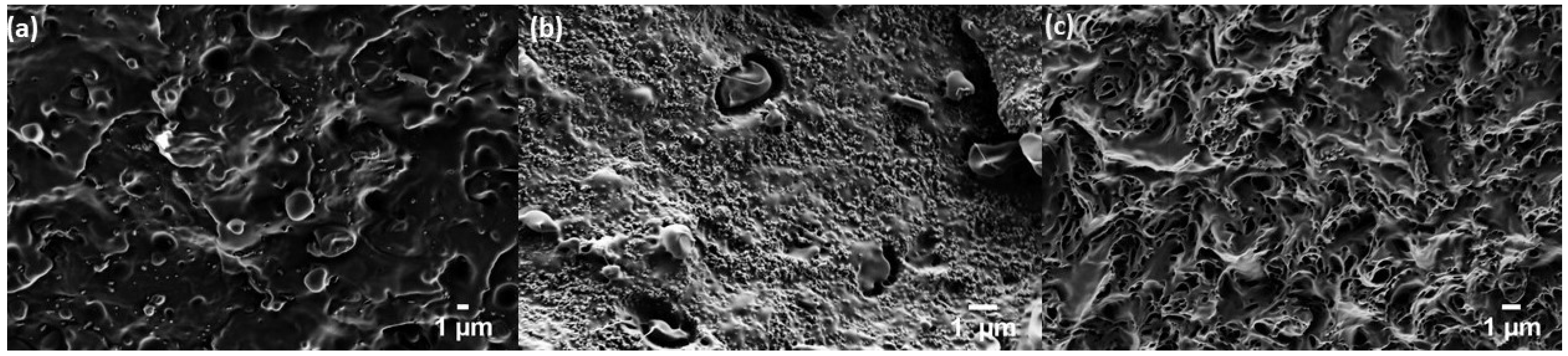 Polymers 10 01371 g001