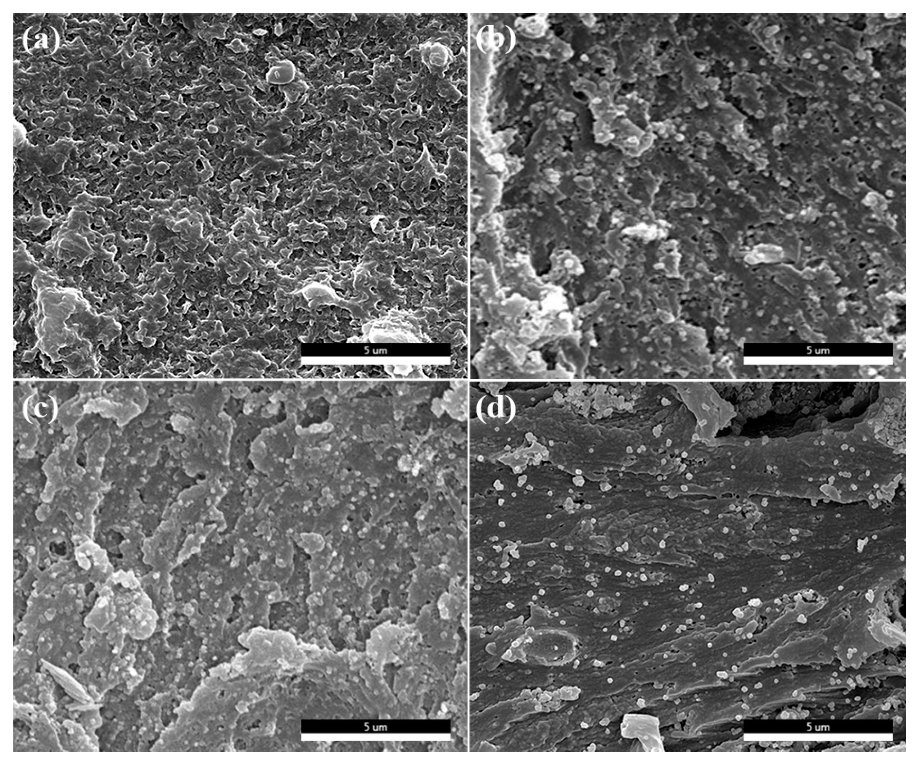 Polymers 10 01378 g004 Polymers 10 01378 g004