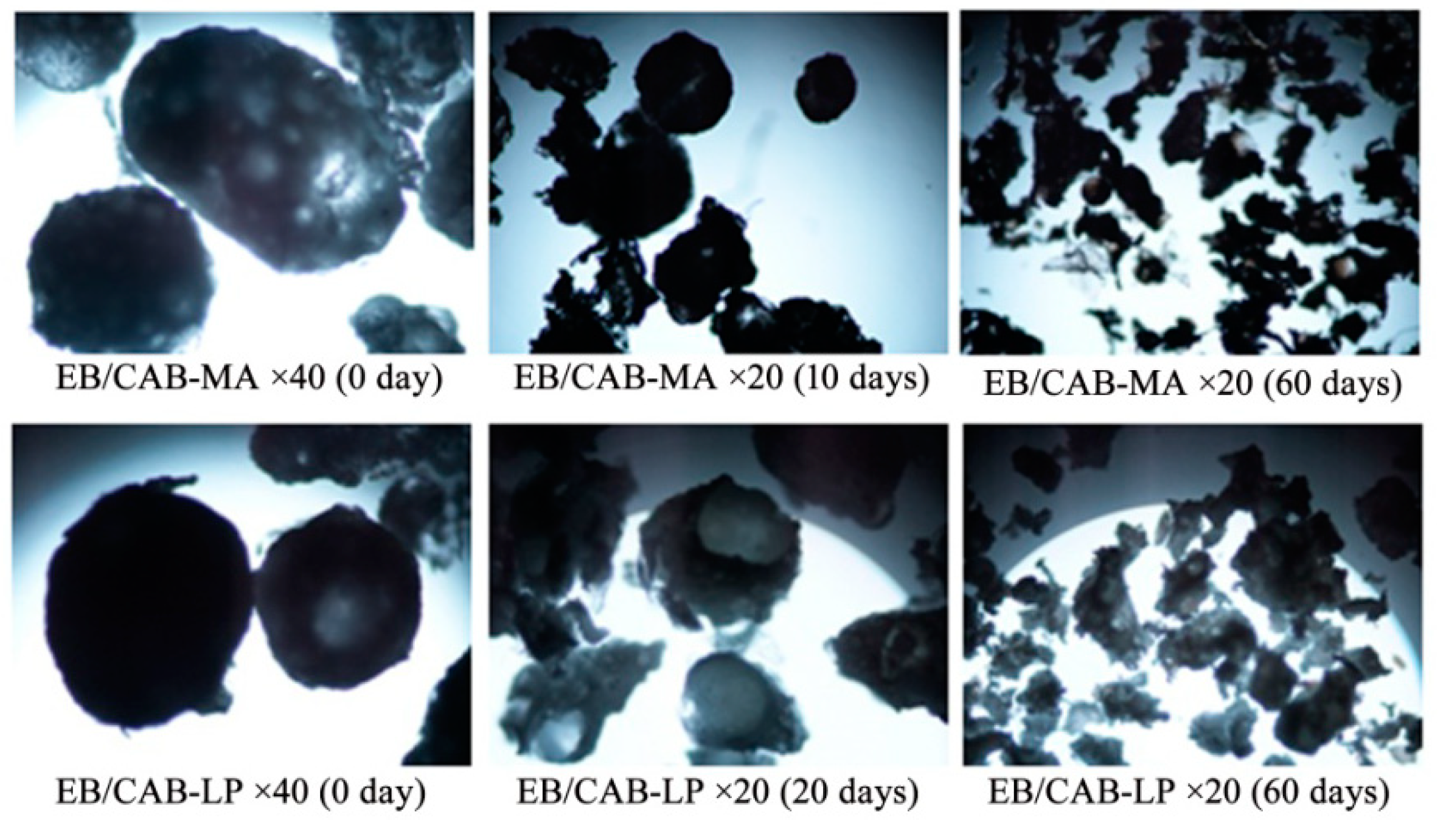 Polymers 10 01381 g009 550