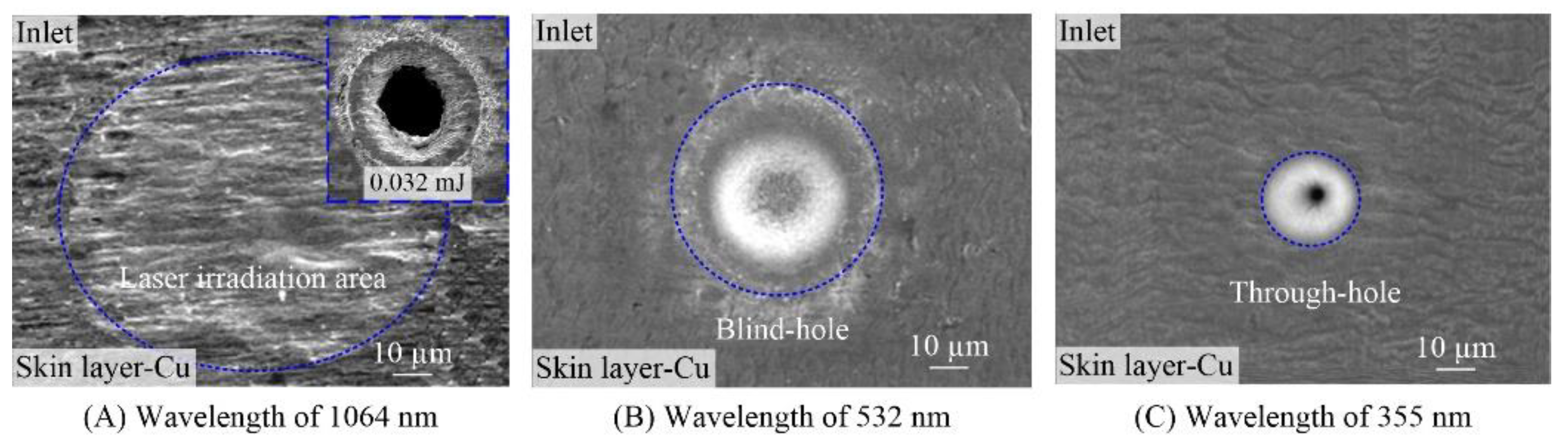 Polymers 10 01390 g002 550