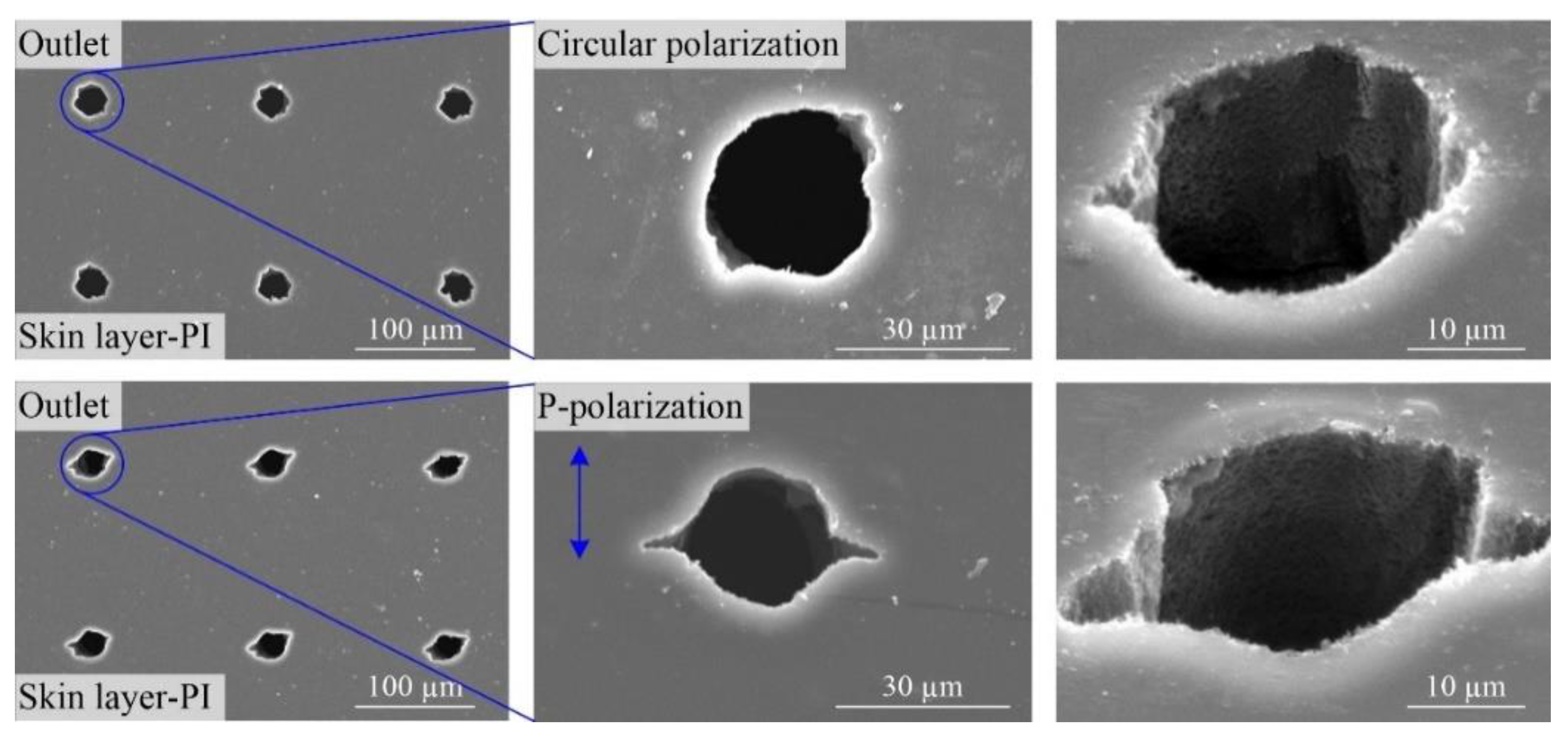 Polymers 10 01390 g006 550