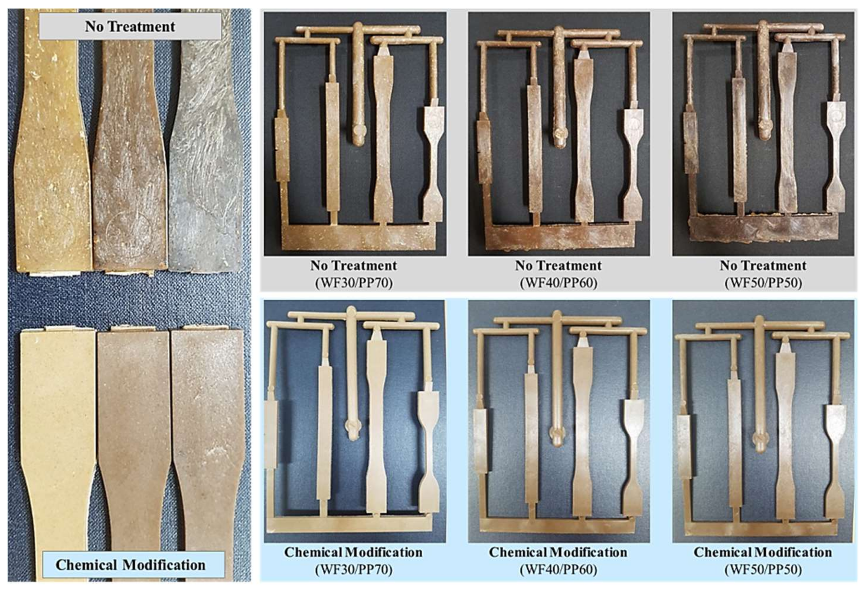 Polymers 10 01391 g006 550