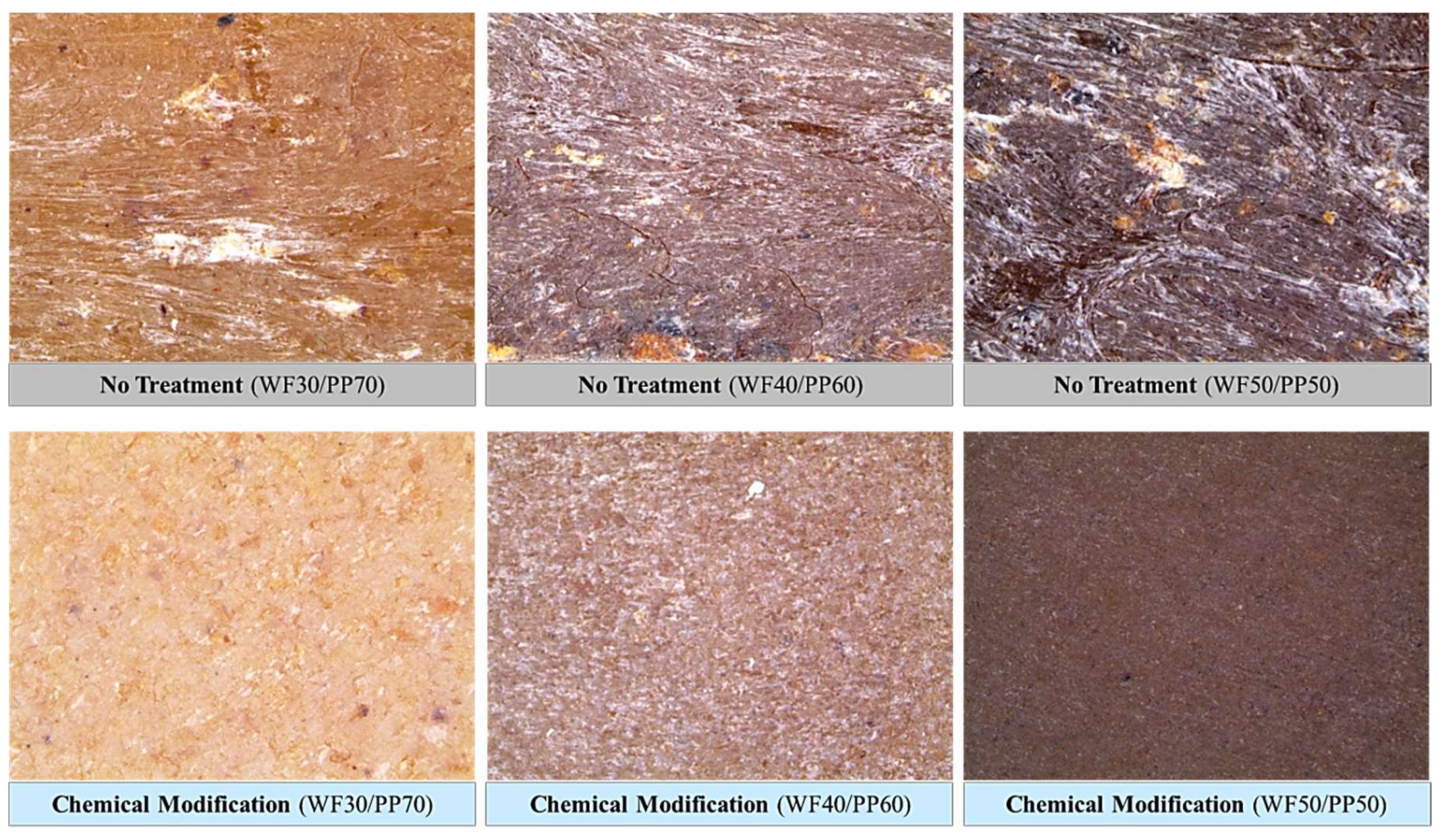 Polymers 10 01391 g015 550