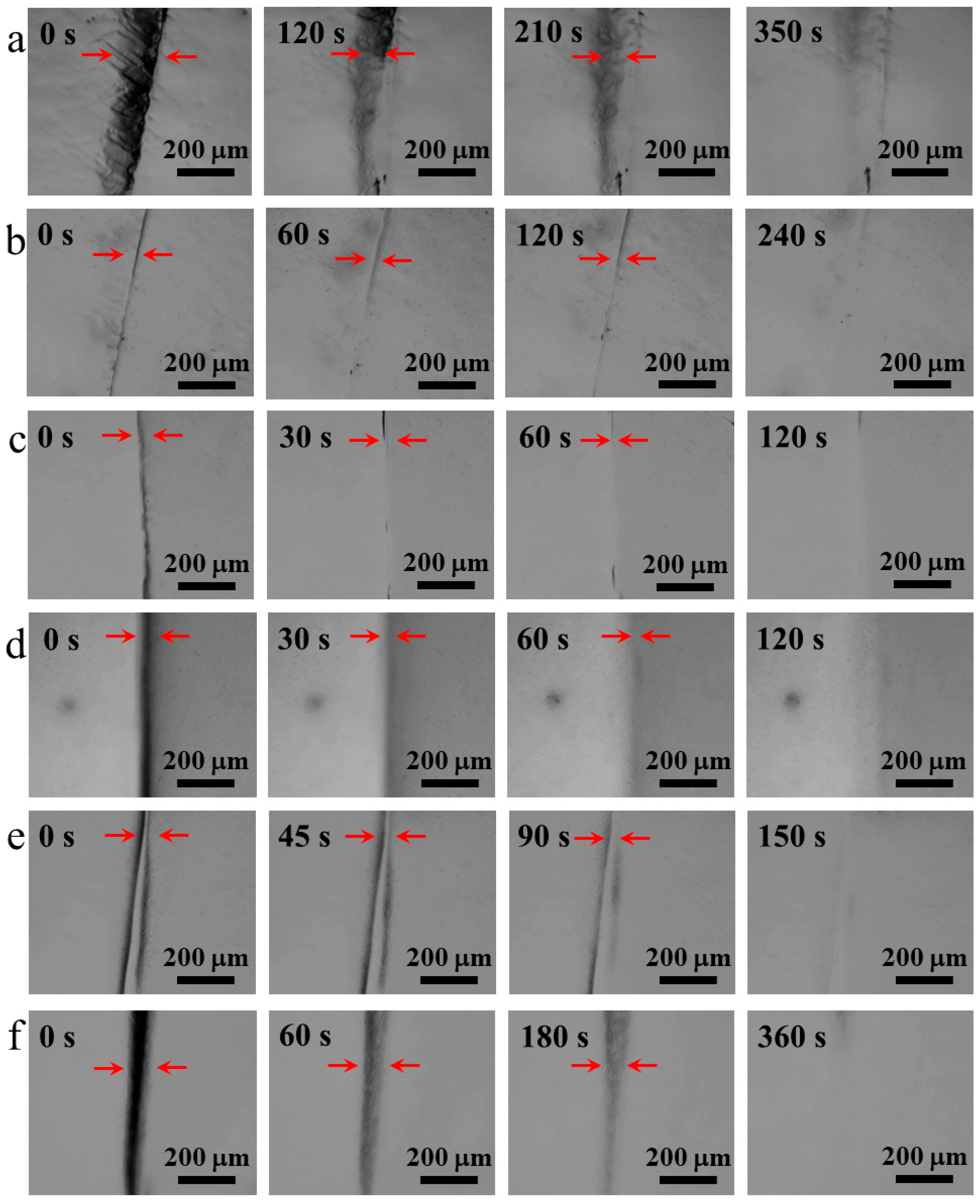 Polymers 10 01392 g003 Polymers 10 01392 g003