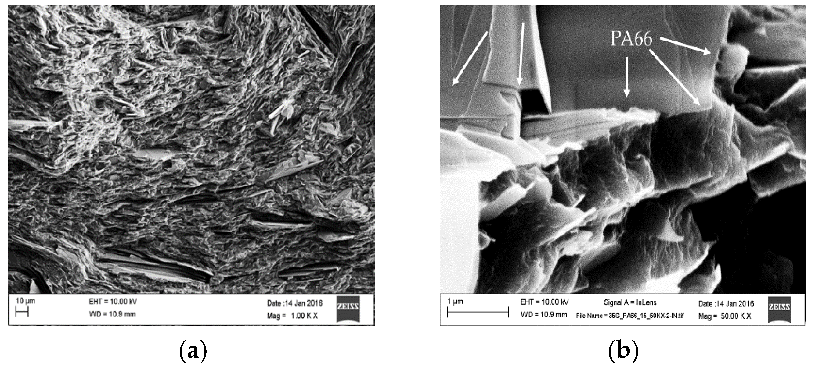Polymers 10 01399 g006 Polymers 10 01399 g006