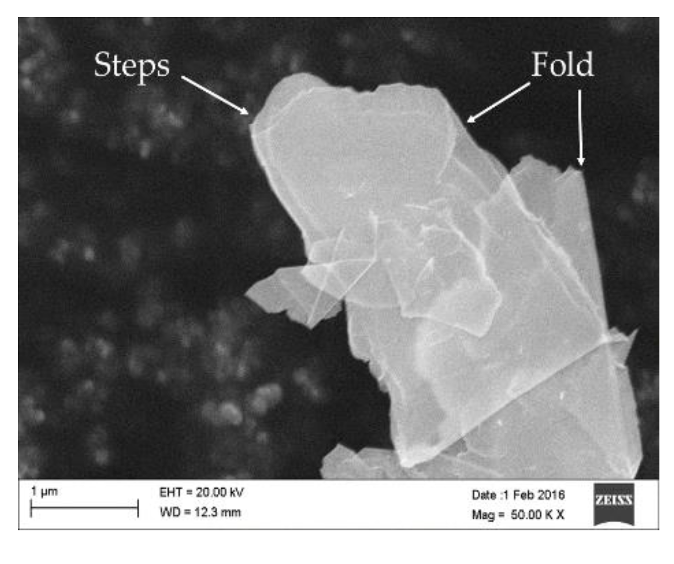 Polymers 10 01399 g007 Polymers 10 01399 g007