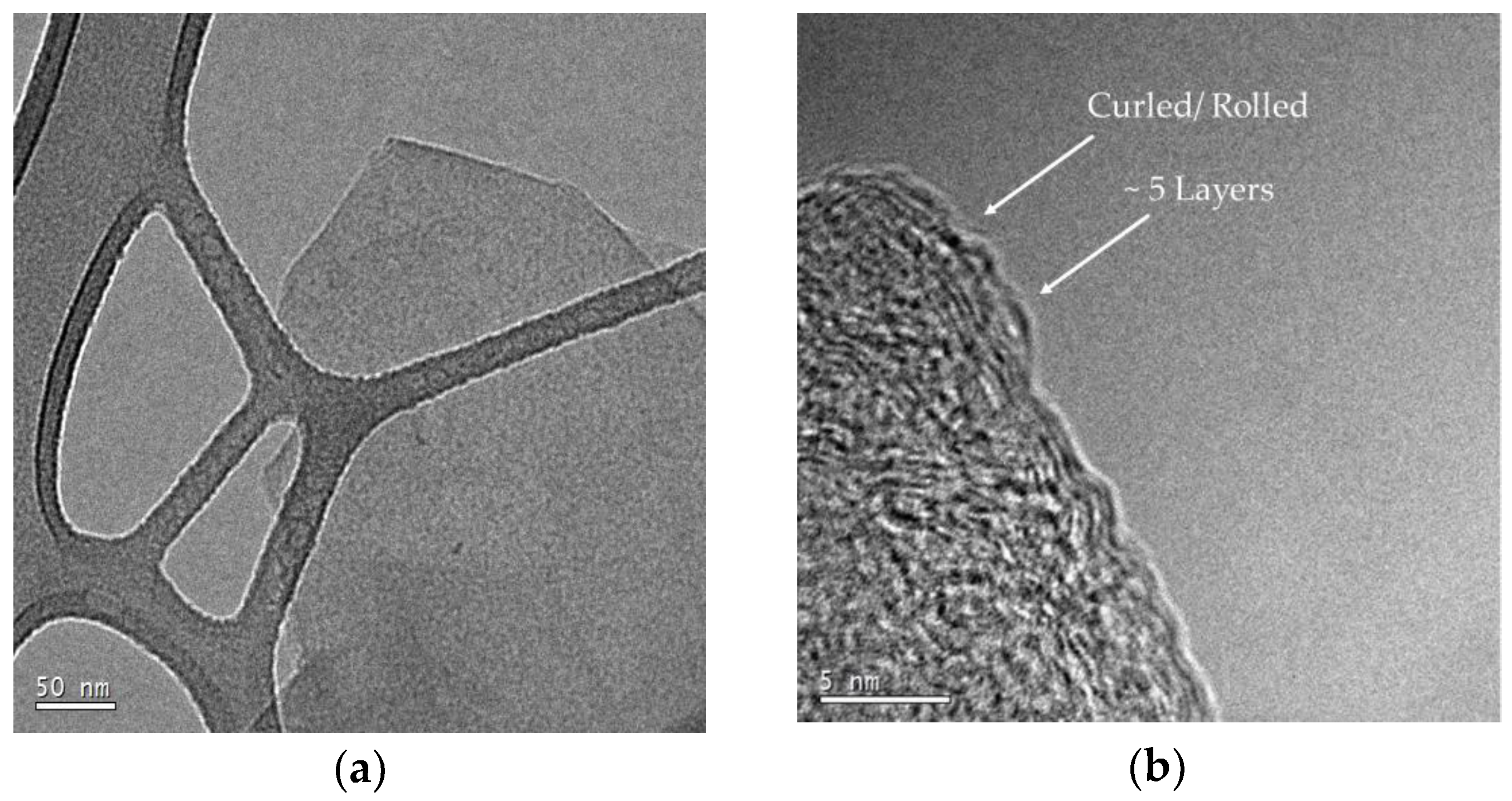 Polymers 10 01399 g008a Polymers 10 01399 g008a
