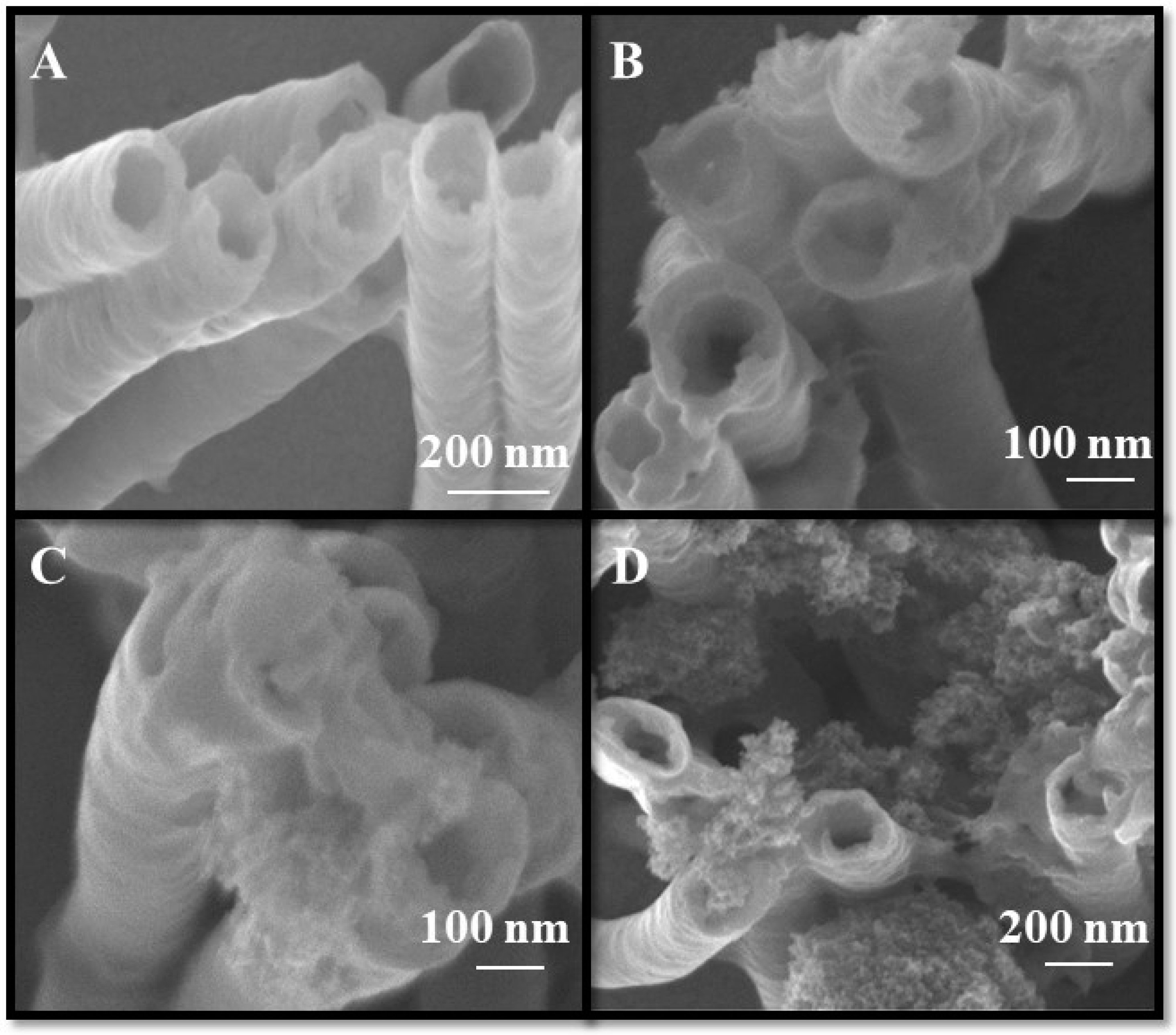 Polymers 10 01408 g006