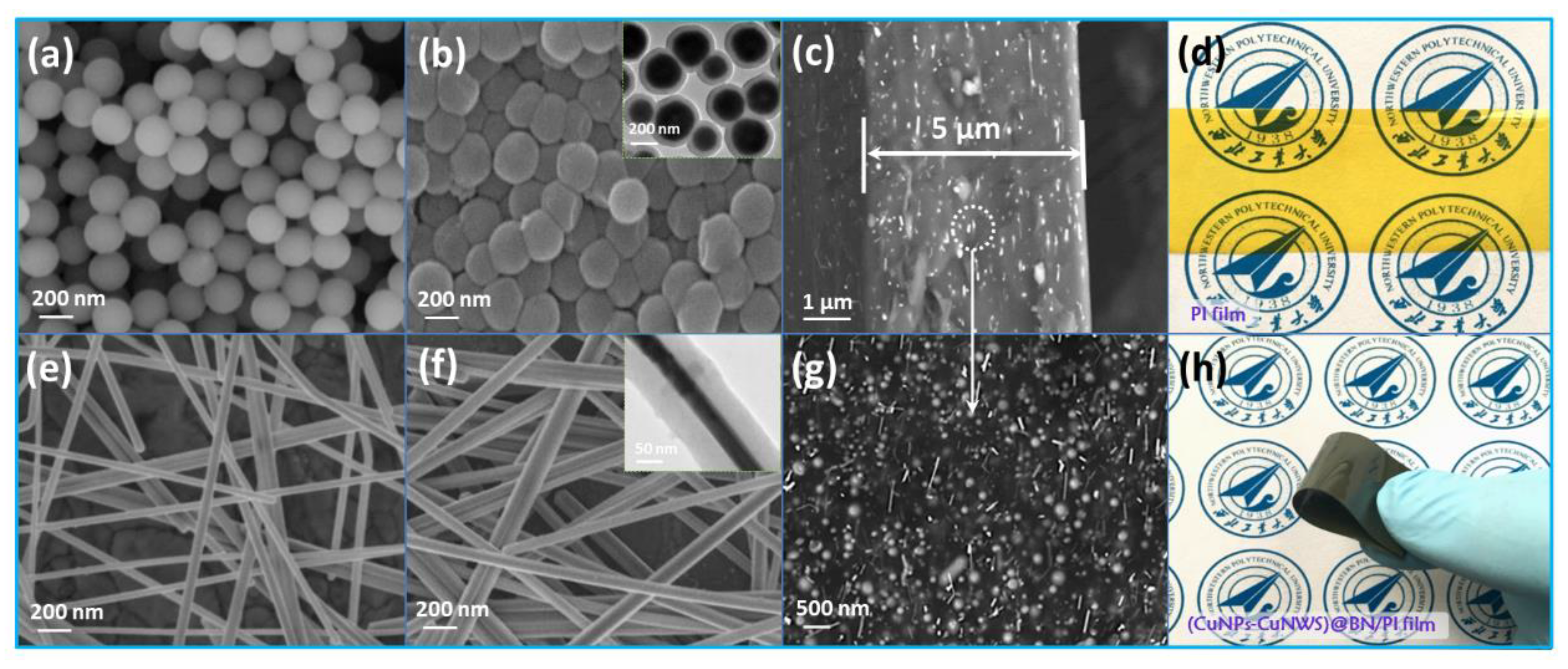 Polymers 10 01412 g002 550