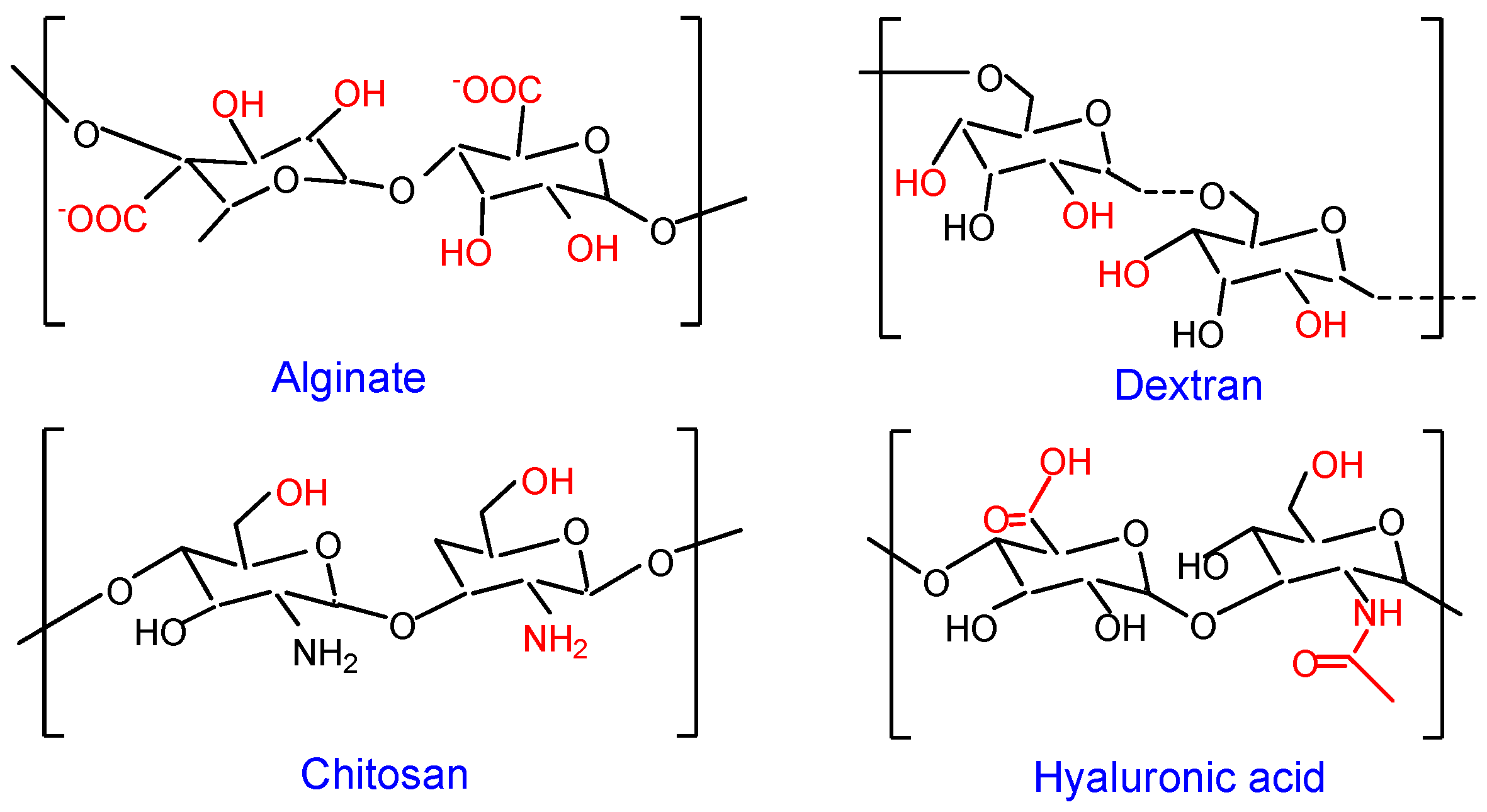 Polymers Free FullText Polysaccharide Based Scaffolds for Soft