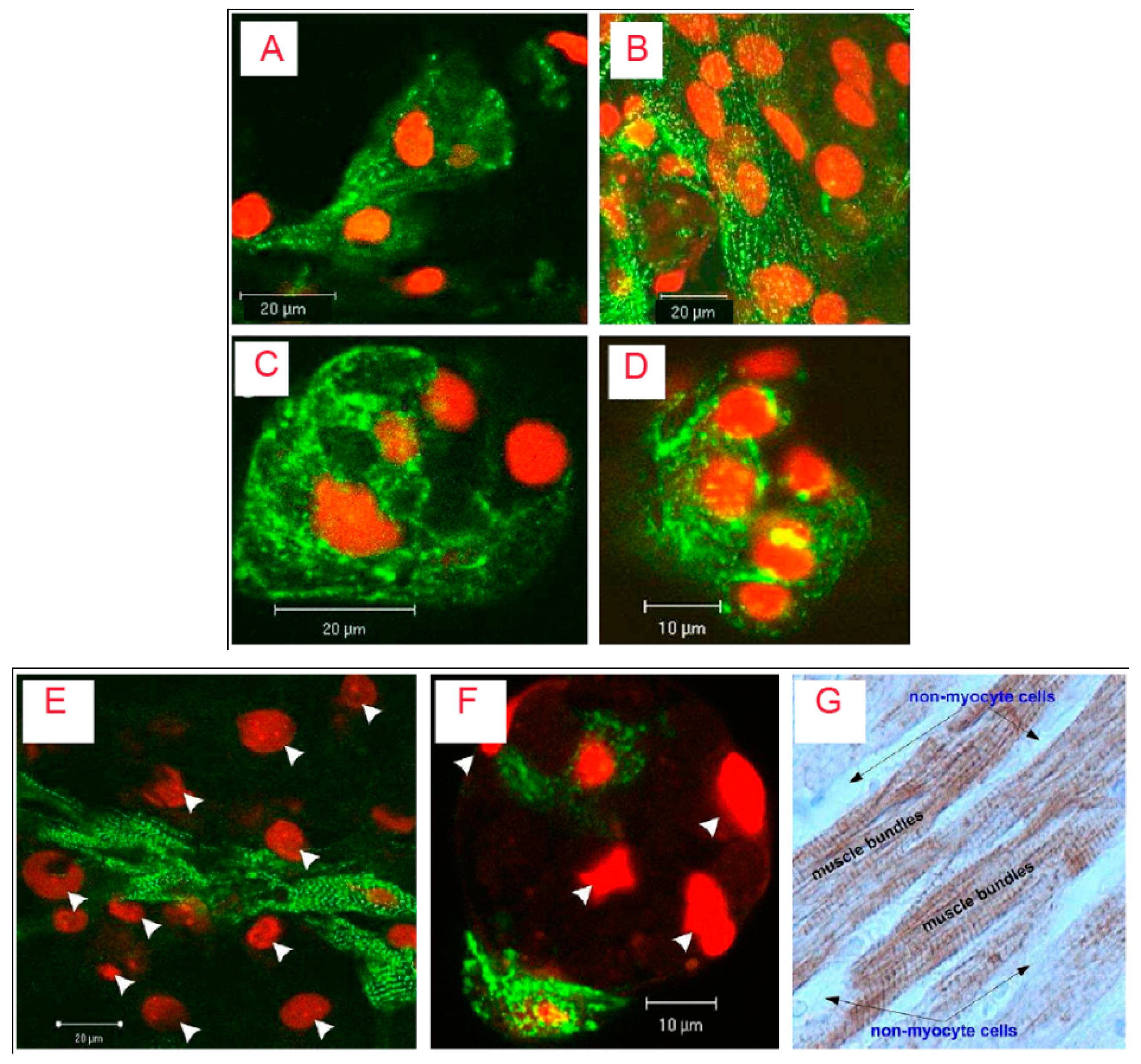 Polymers 11 00001 g002 Polymers 11 00001 g002