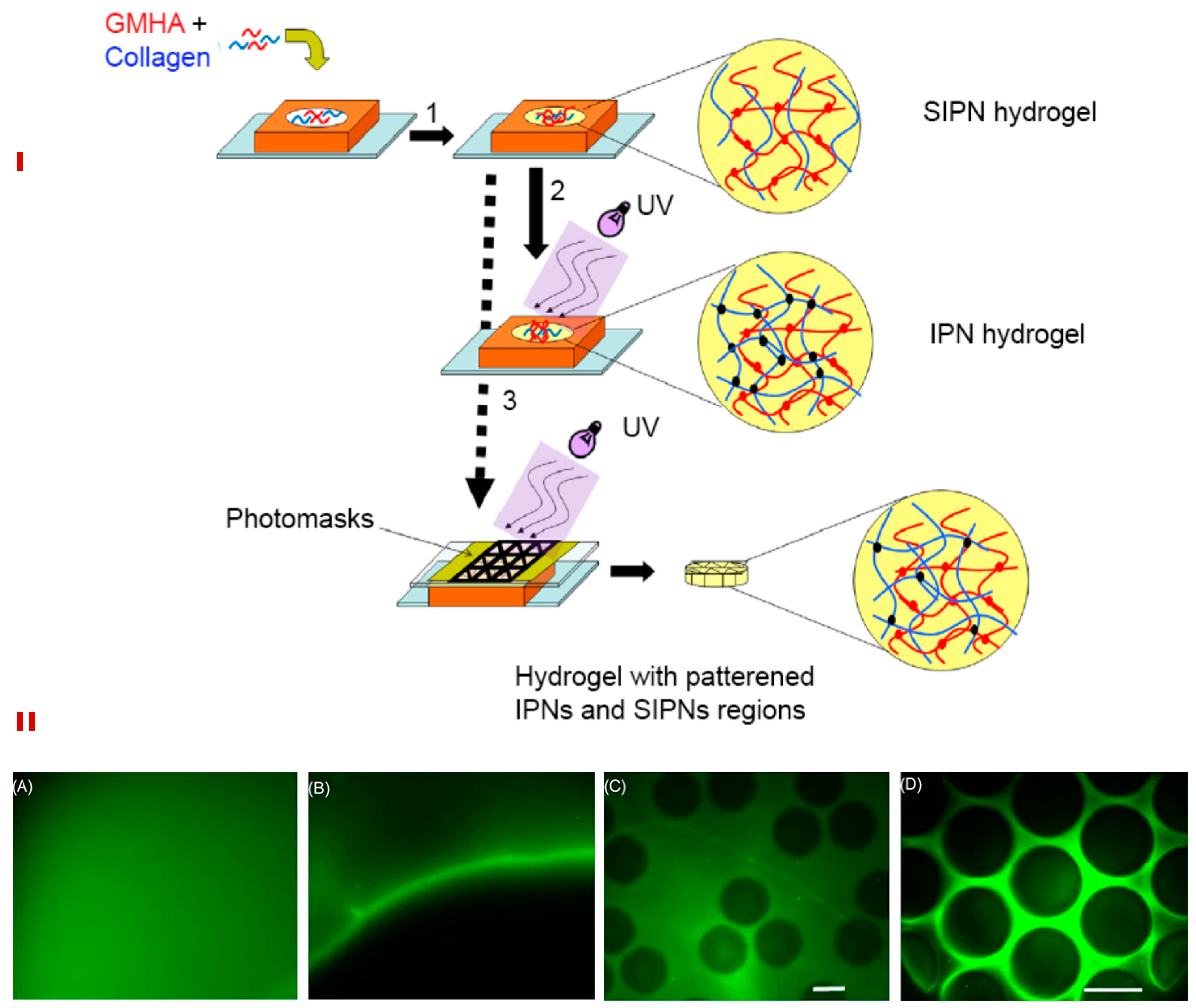Polymers 11 00001 g005 Polymers 11 00001 g005