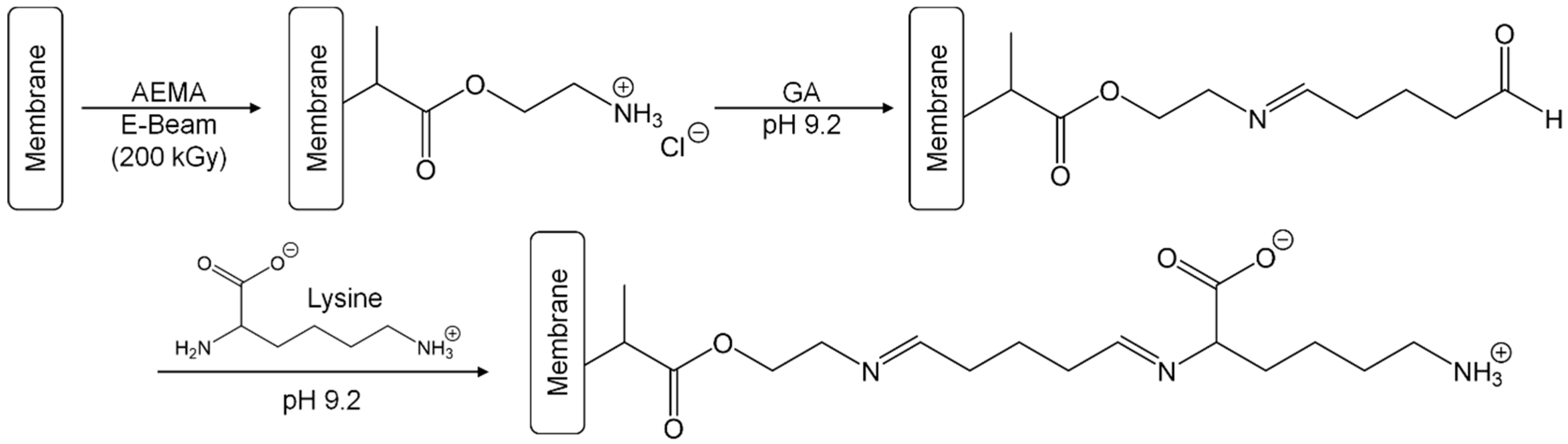 Polymers 11 00003 g001