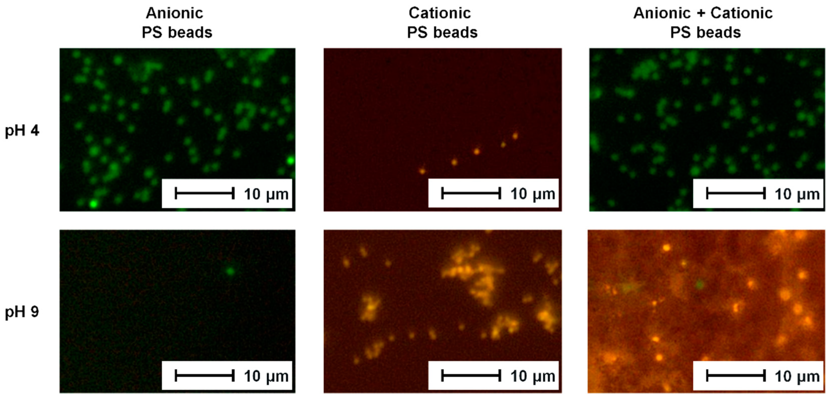 Polymers 11 00003 g004